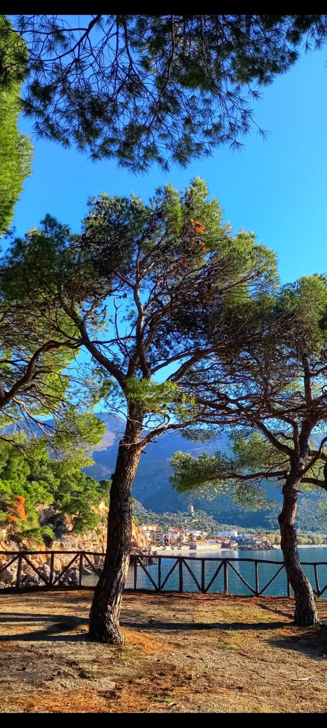 Porto Vito