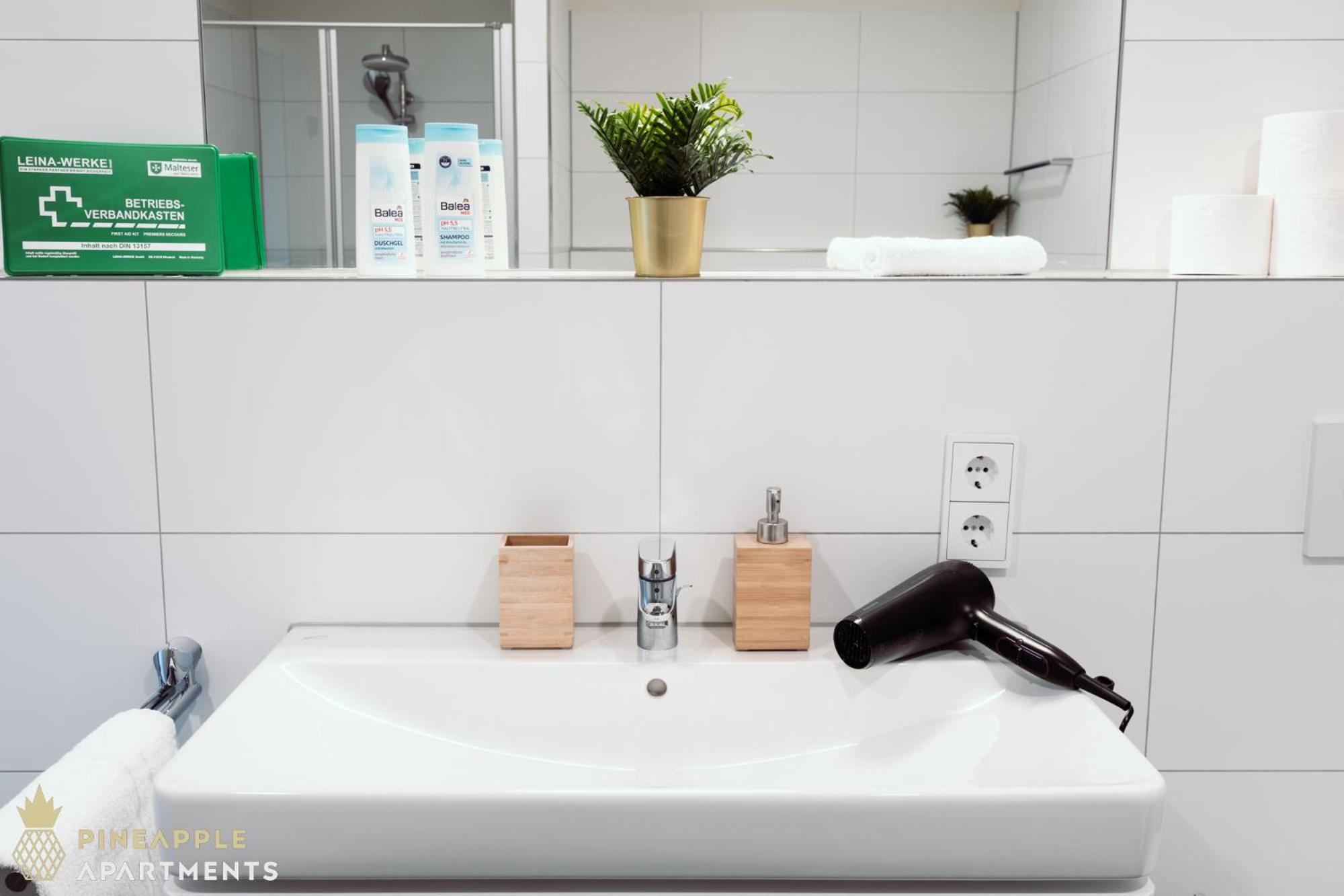 Dresden Vacations - Pineapple Apartments Dresden Altstadt III - 91 qm - 1x free parking - Property Image 7