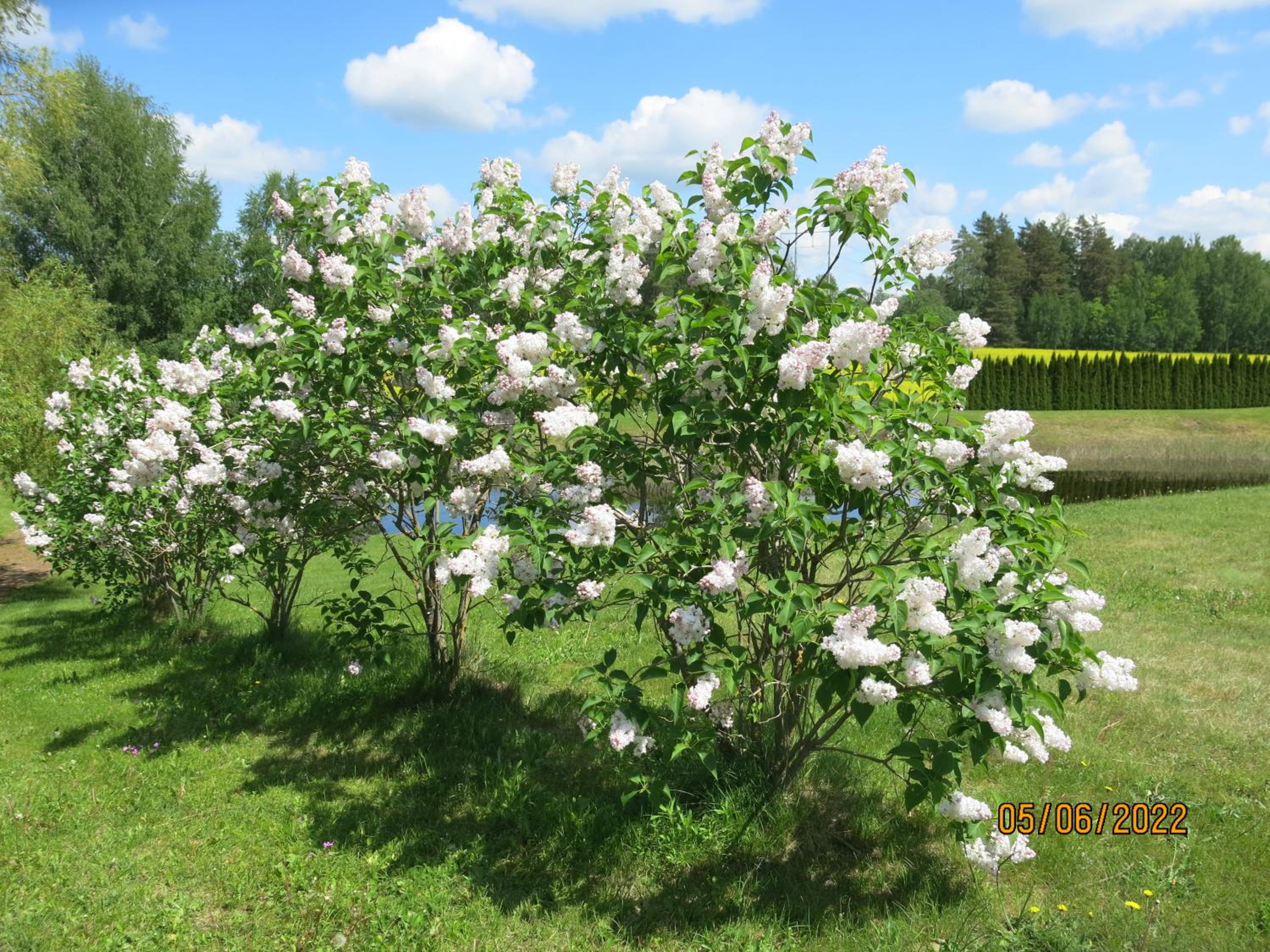 Photo 32