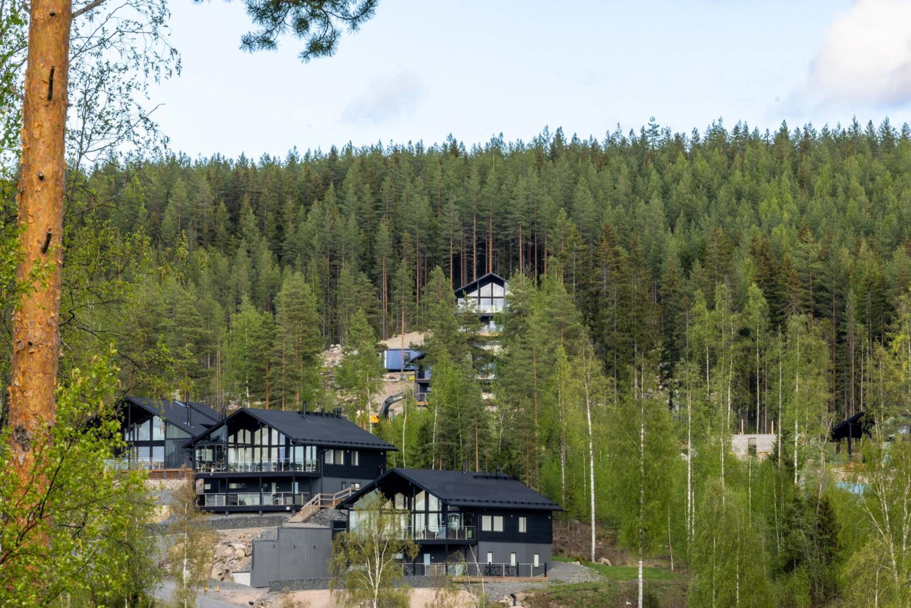 Luksushuvila Himos Panorama
