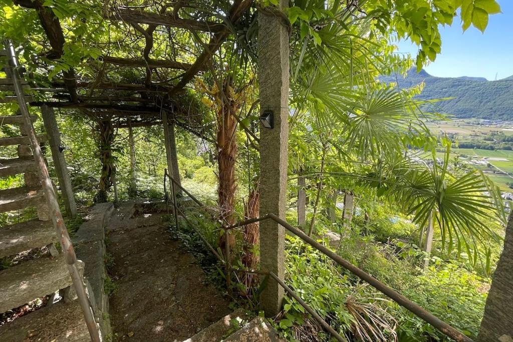 Un sogno nella natura