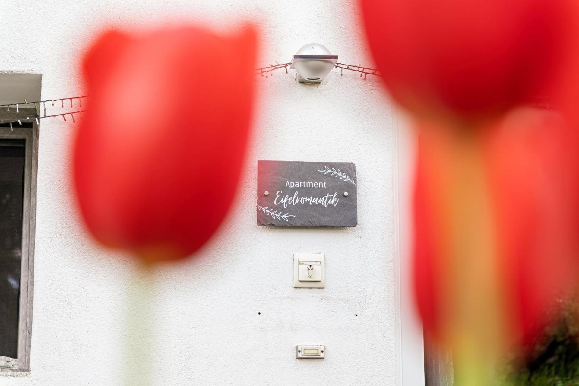 Eifel-Apartments Orsfeld
