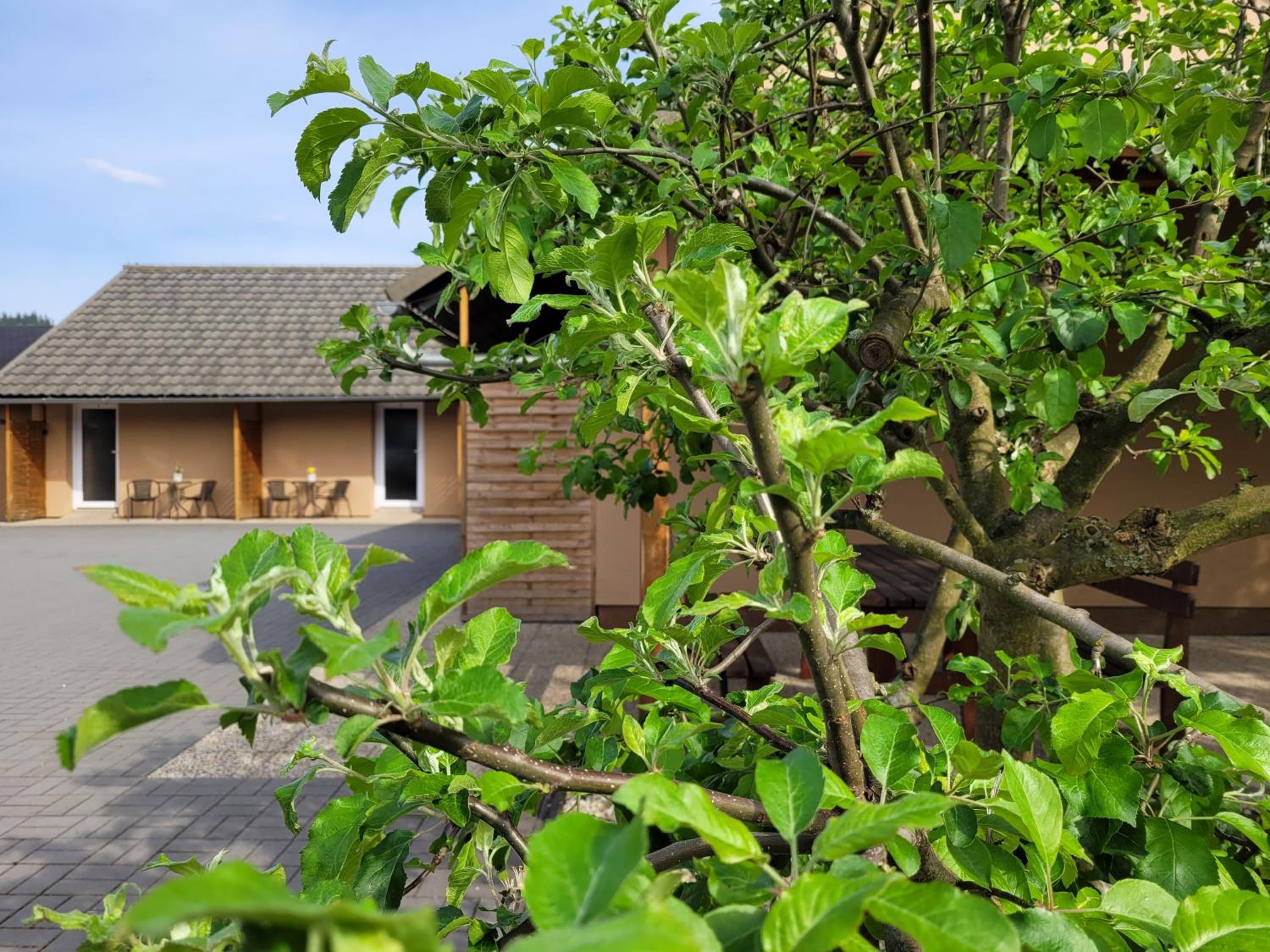 Apartmány DoLosin