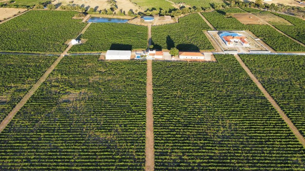Herdade das Castas Nobres, photo 29