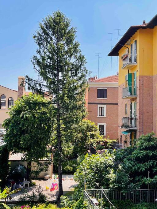 Casa Bonita Bolognina
