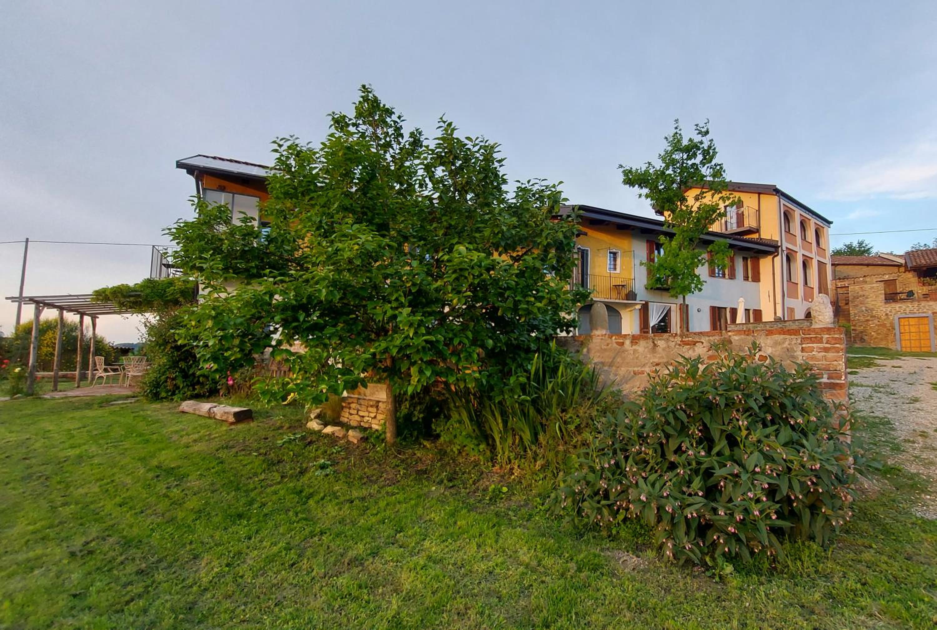 Photo 11