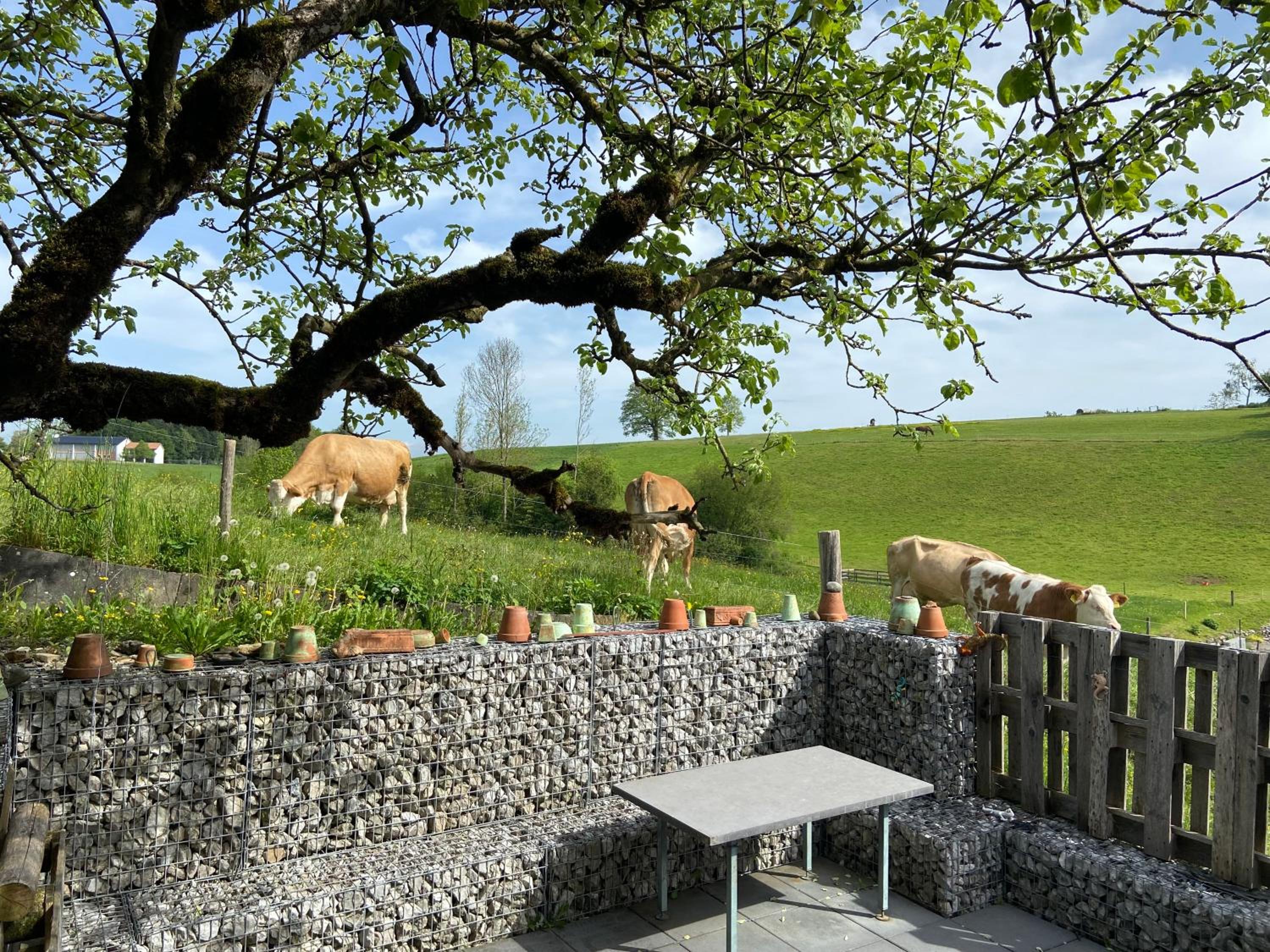 Naturnahe Familienwohnung
