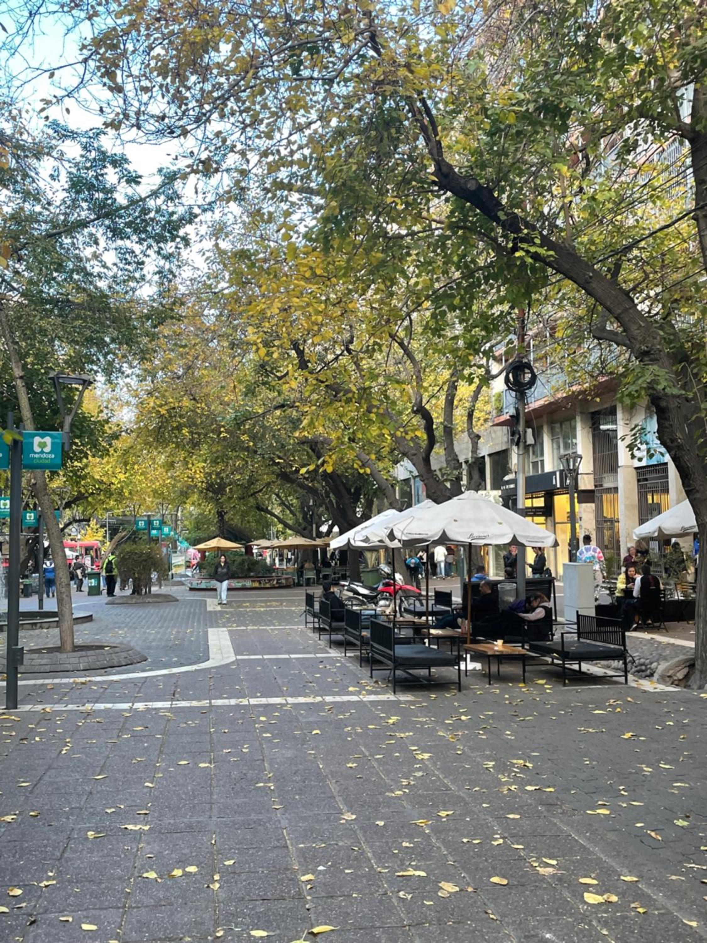 Departamento en calle Arístides, mejor zona turística
