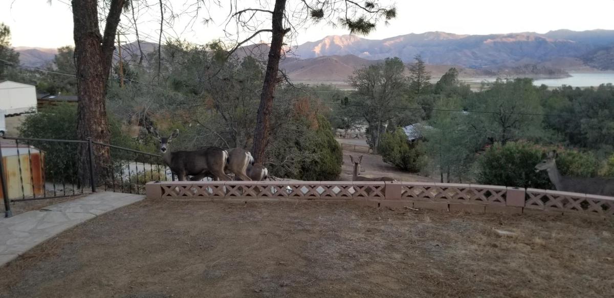 3BR Panoramic Lake View, Sequoia Forest, Kern County view 2