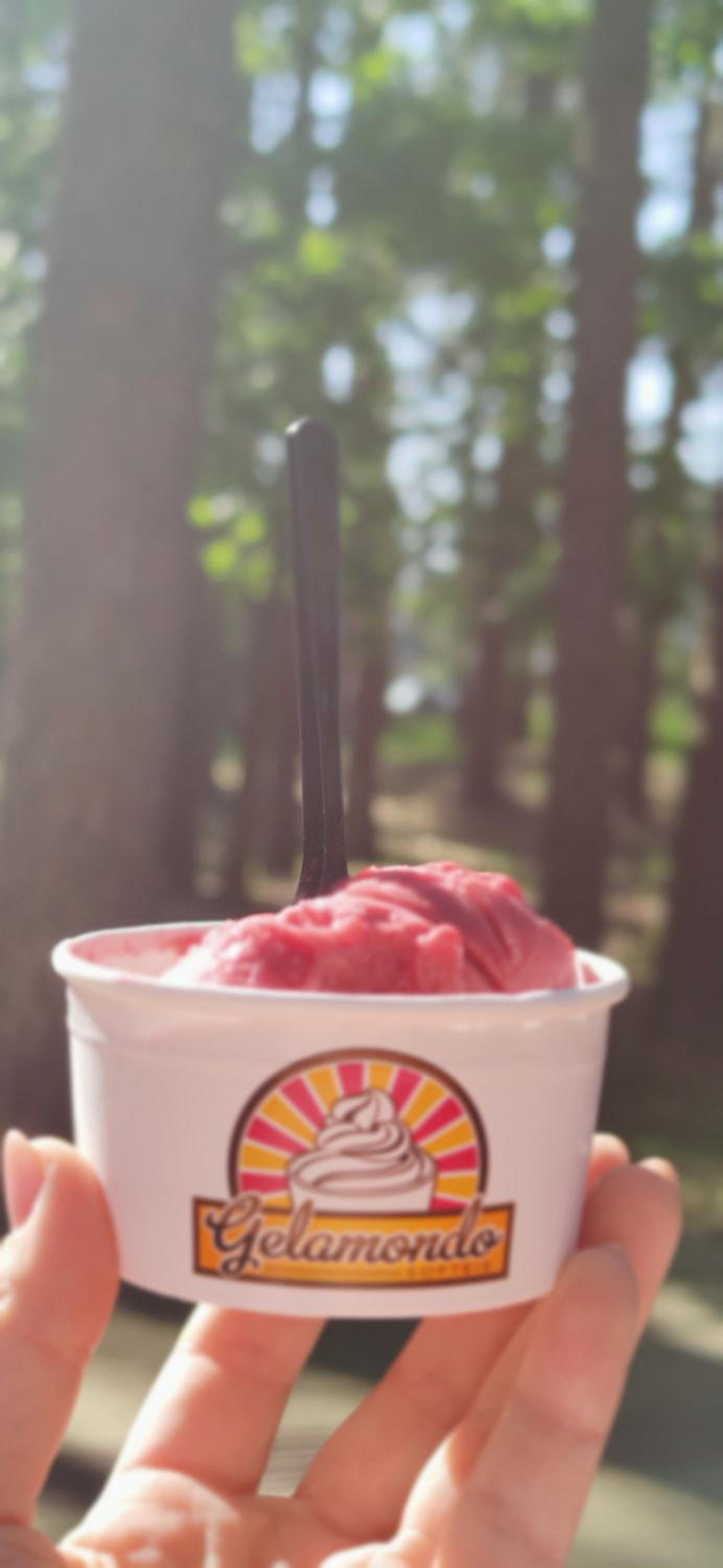 Photo 73