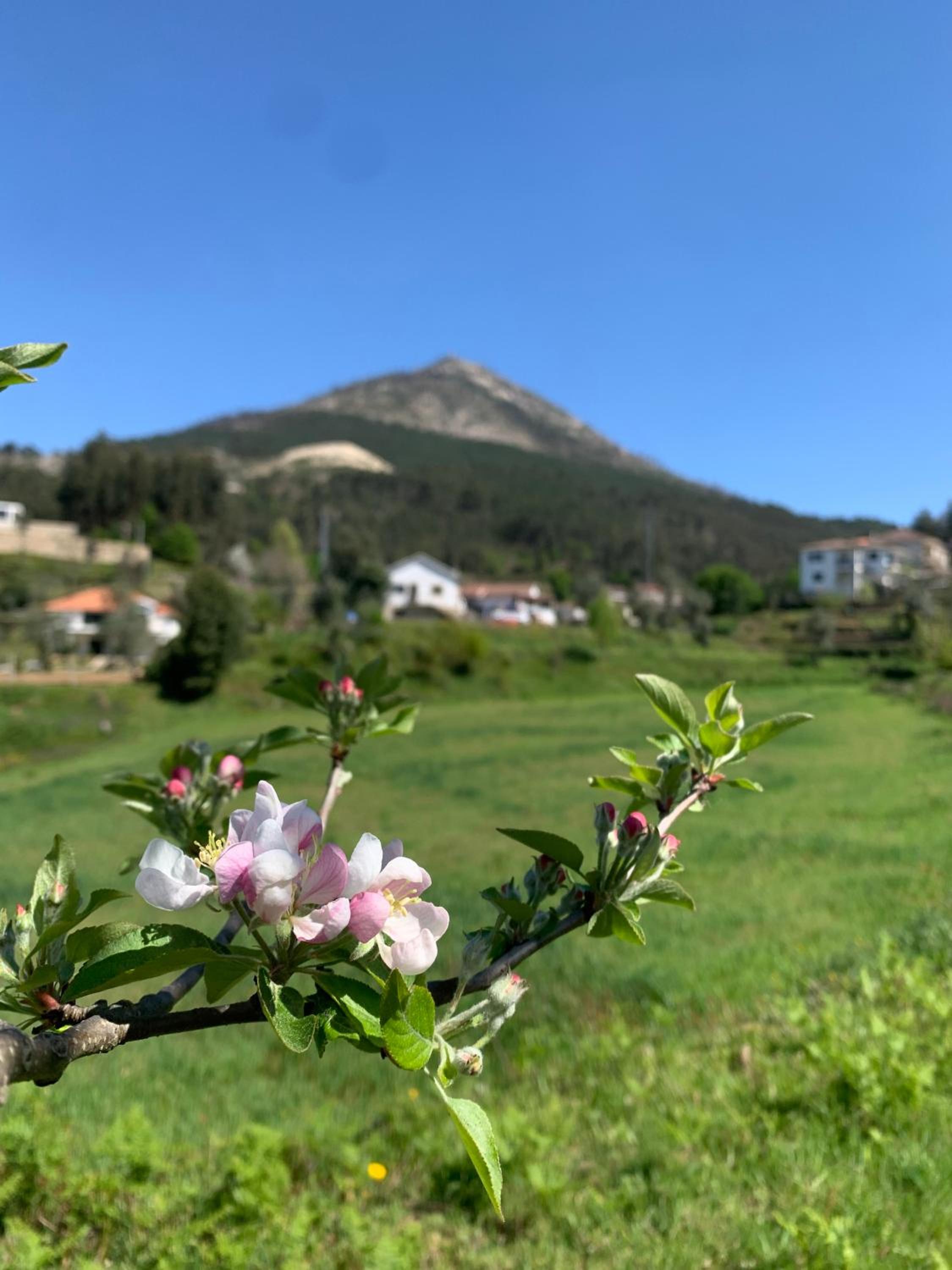 Casa Pedravedra