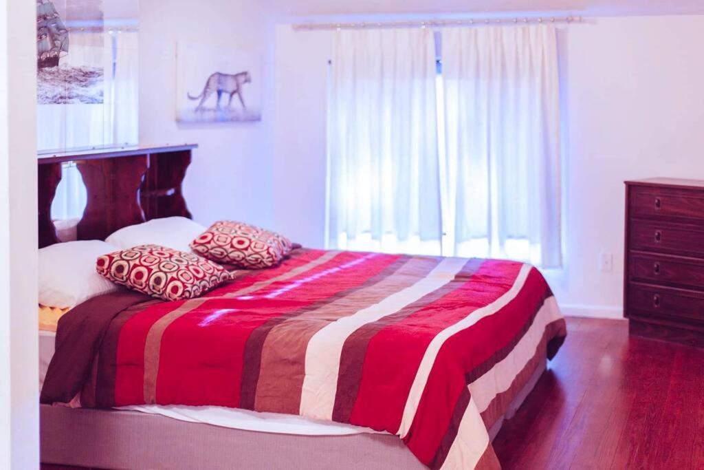 Bright High standing apartment