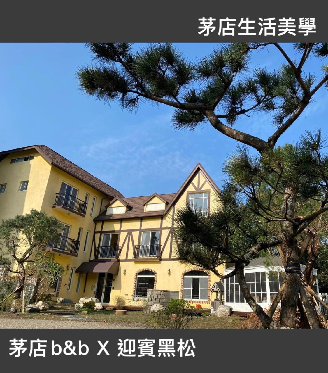 Photo 31