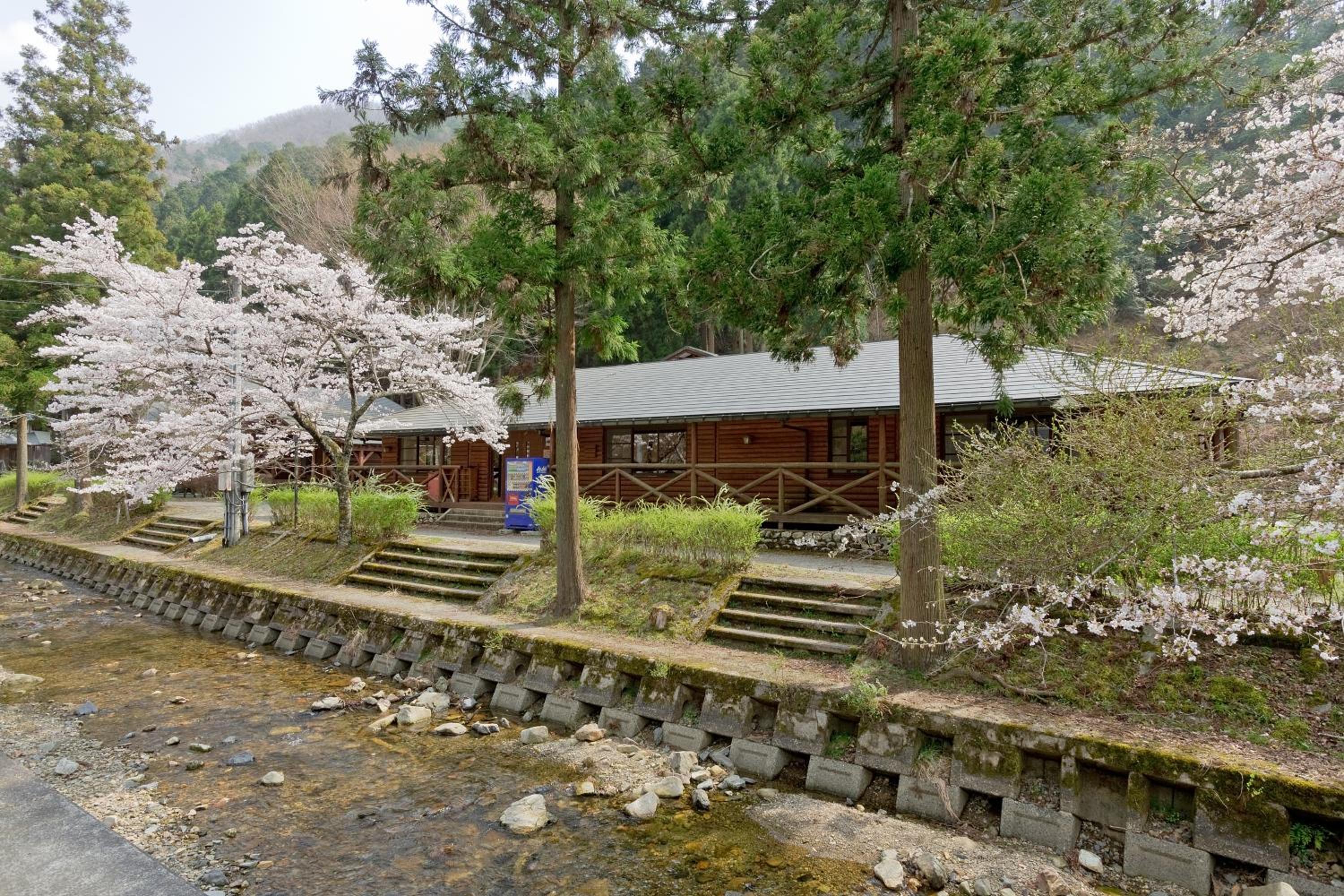 Hiyoshi Forest Resort Yamanoie, Nantan city - 10