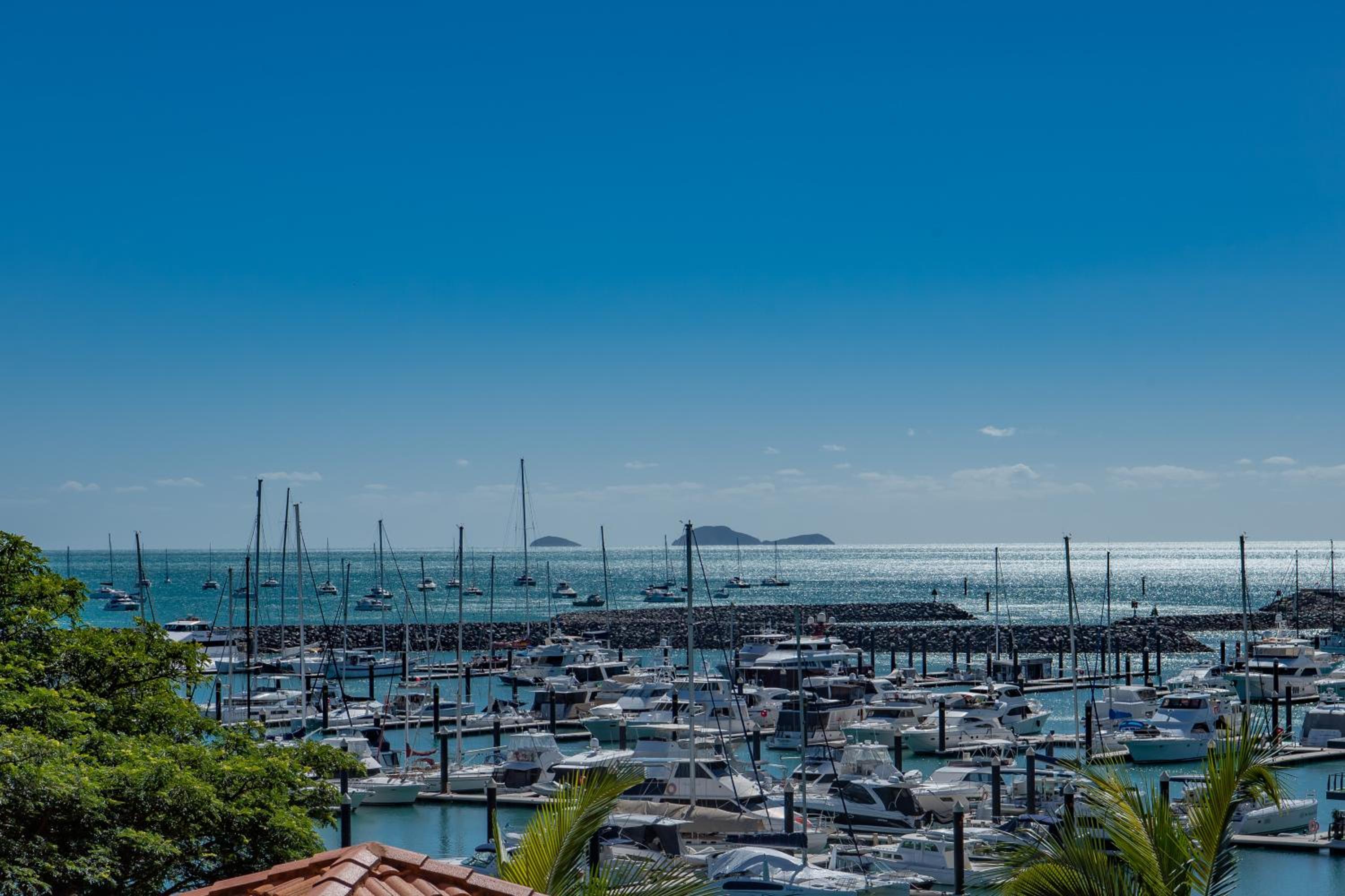 Shingley Ocean Views
