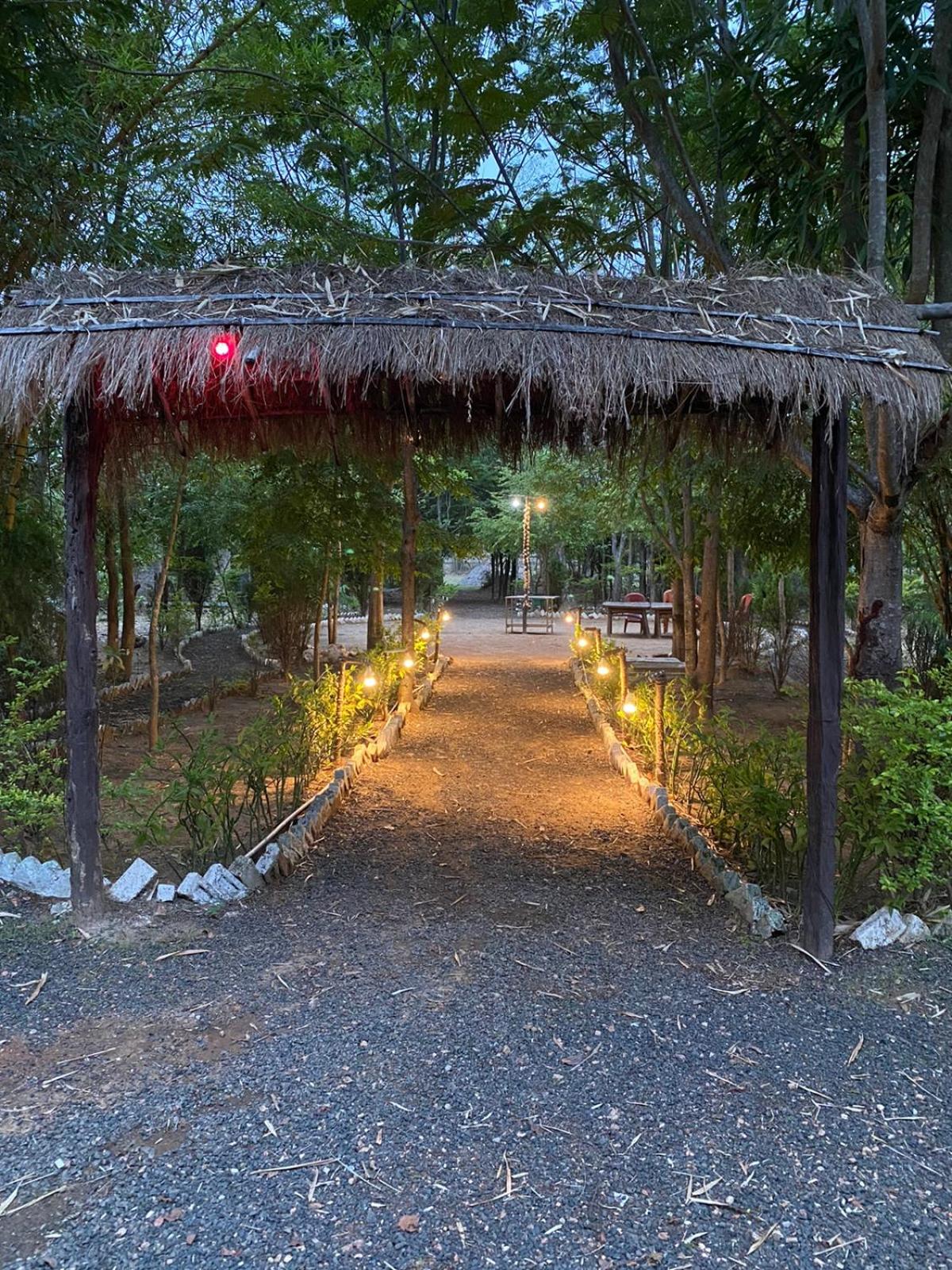 Sal Tree Resort by Vihasta, Kanha view 3