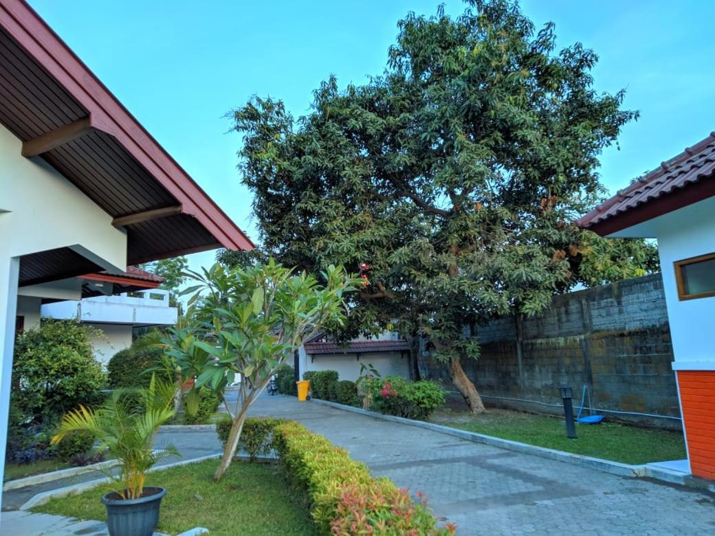 Omah Pelem Yogya view 4
