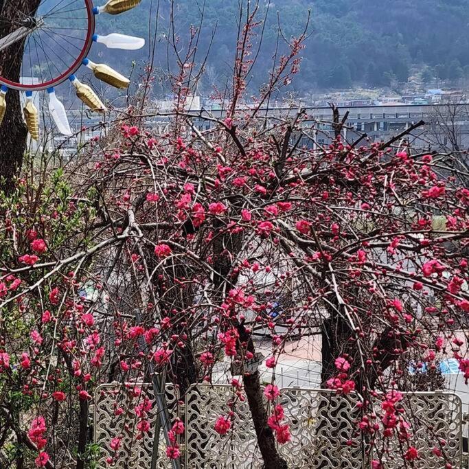 Gugangjae Hanok Stay