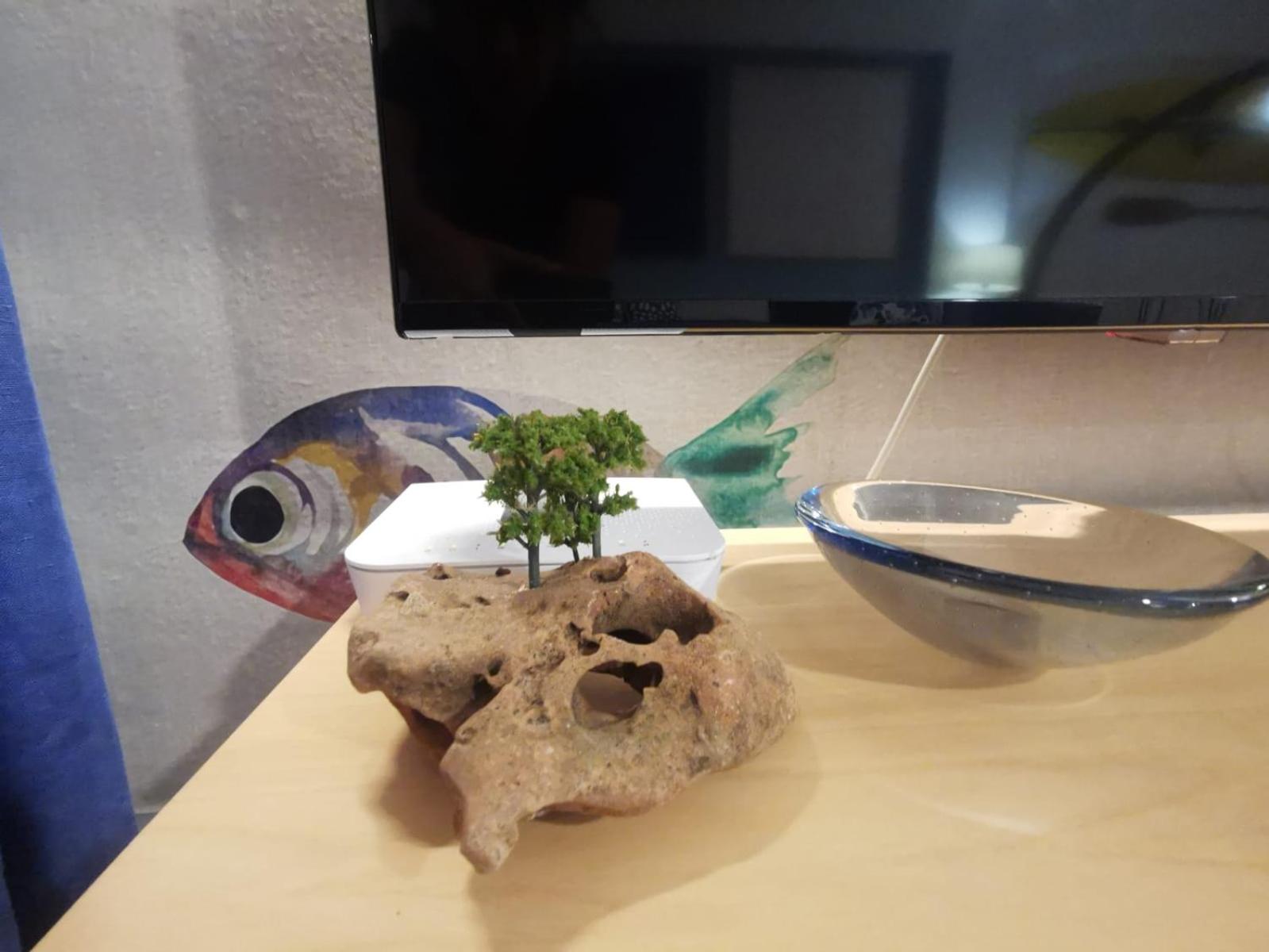 Casa blue fish