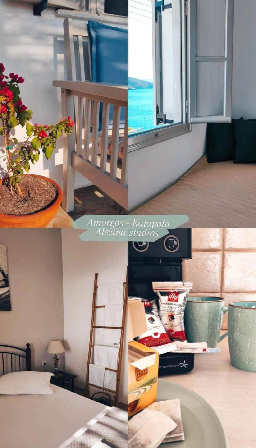 Alezina studios photo 3