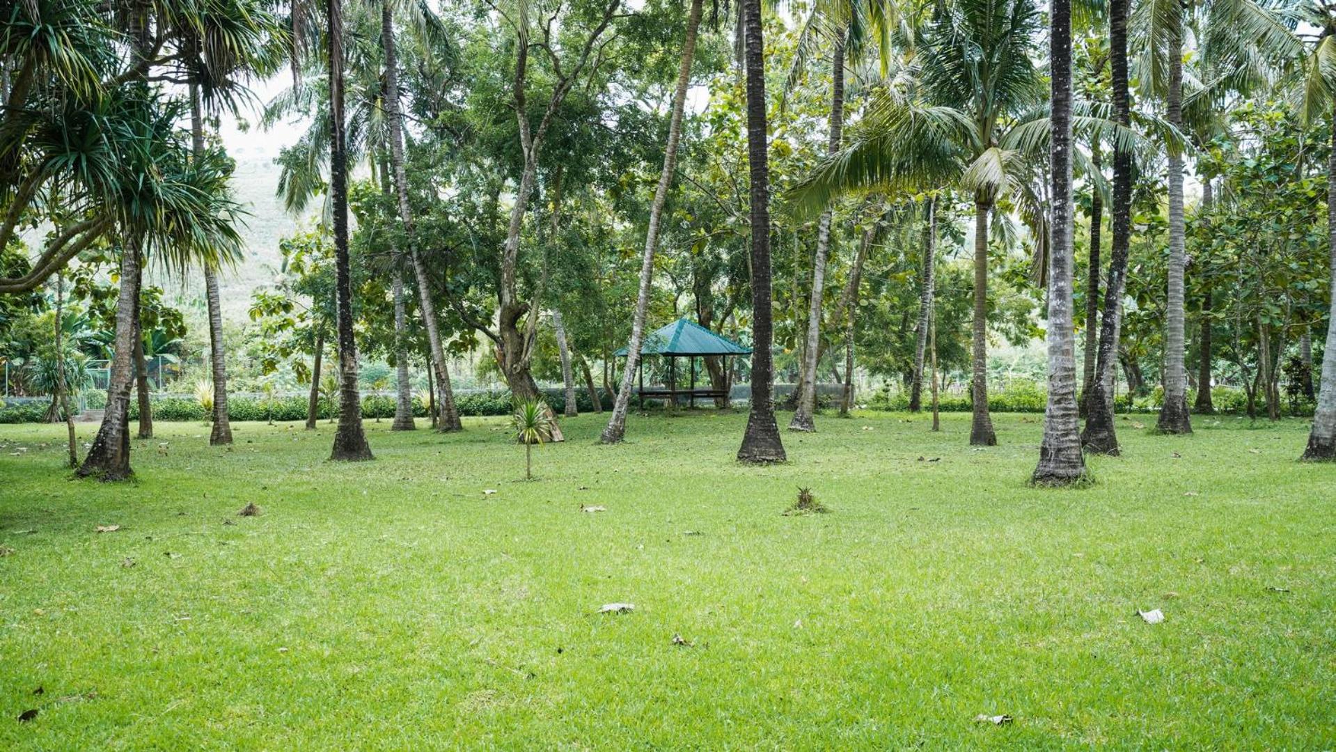 Belongas Bay Lodge Sekotong view 3