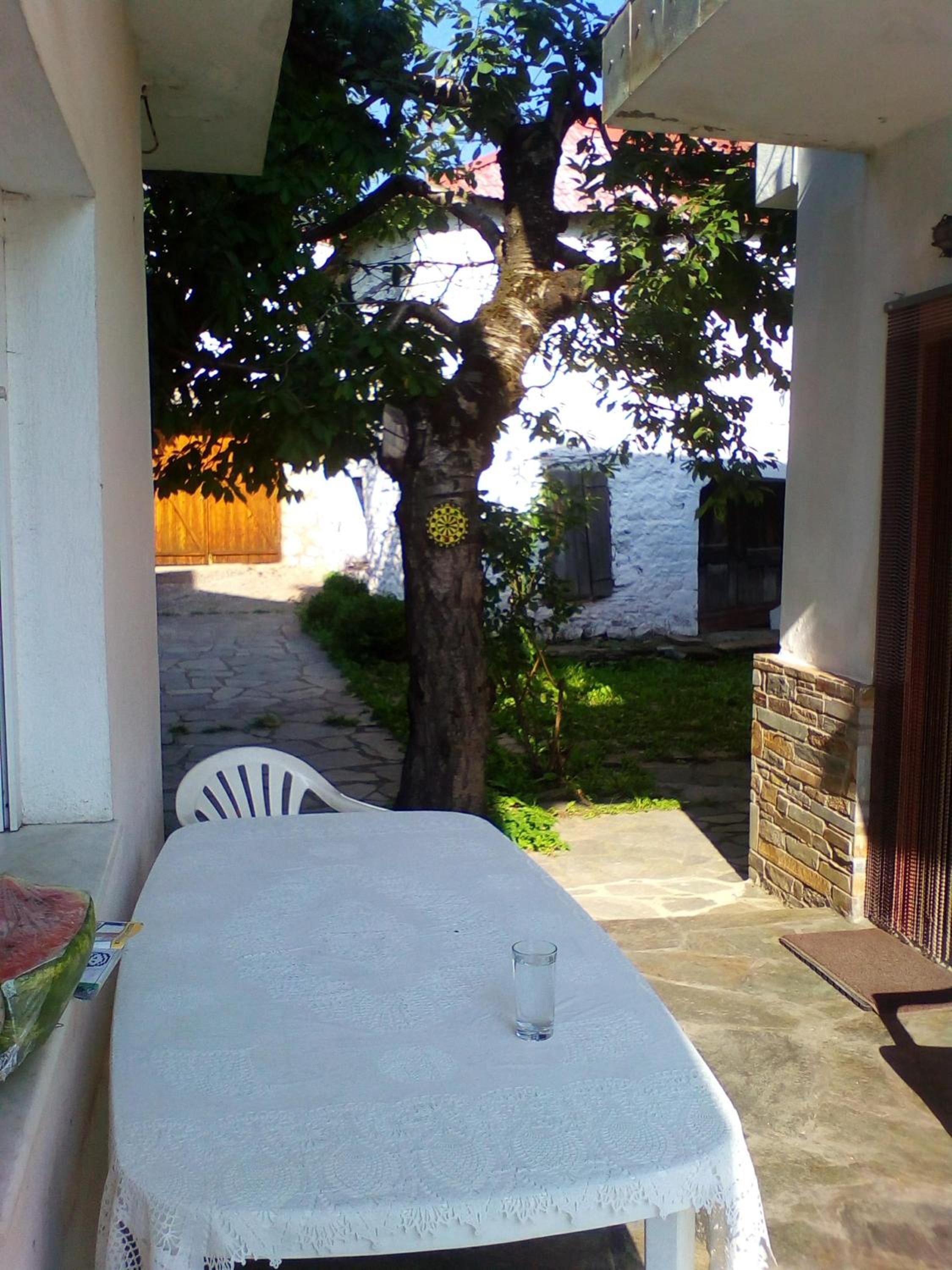 Ginî Viñis