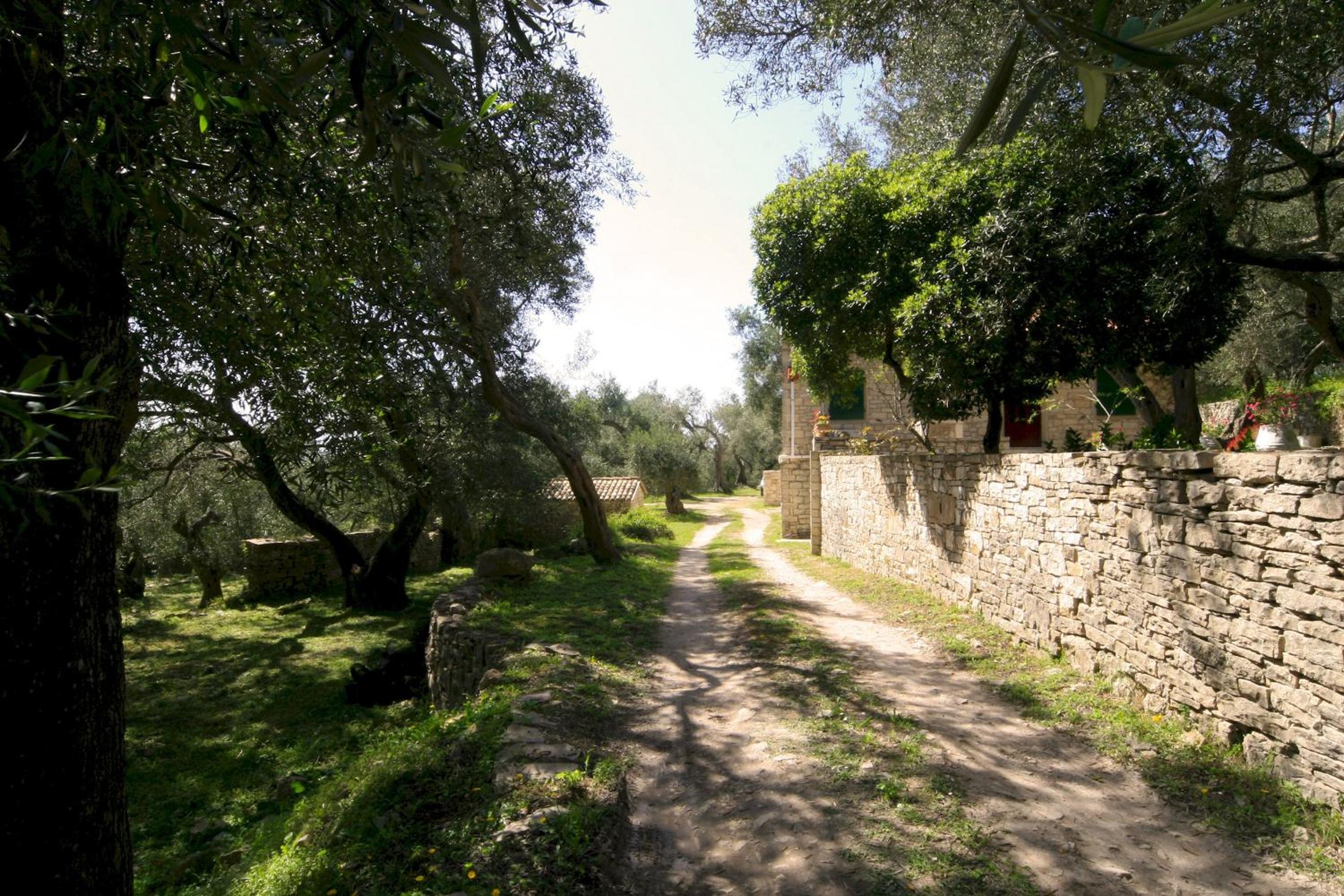 Kastanida House