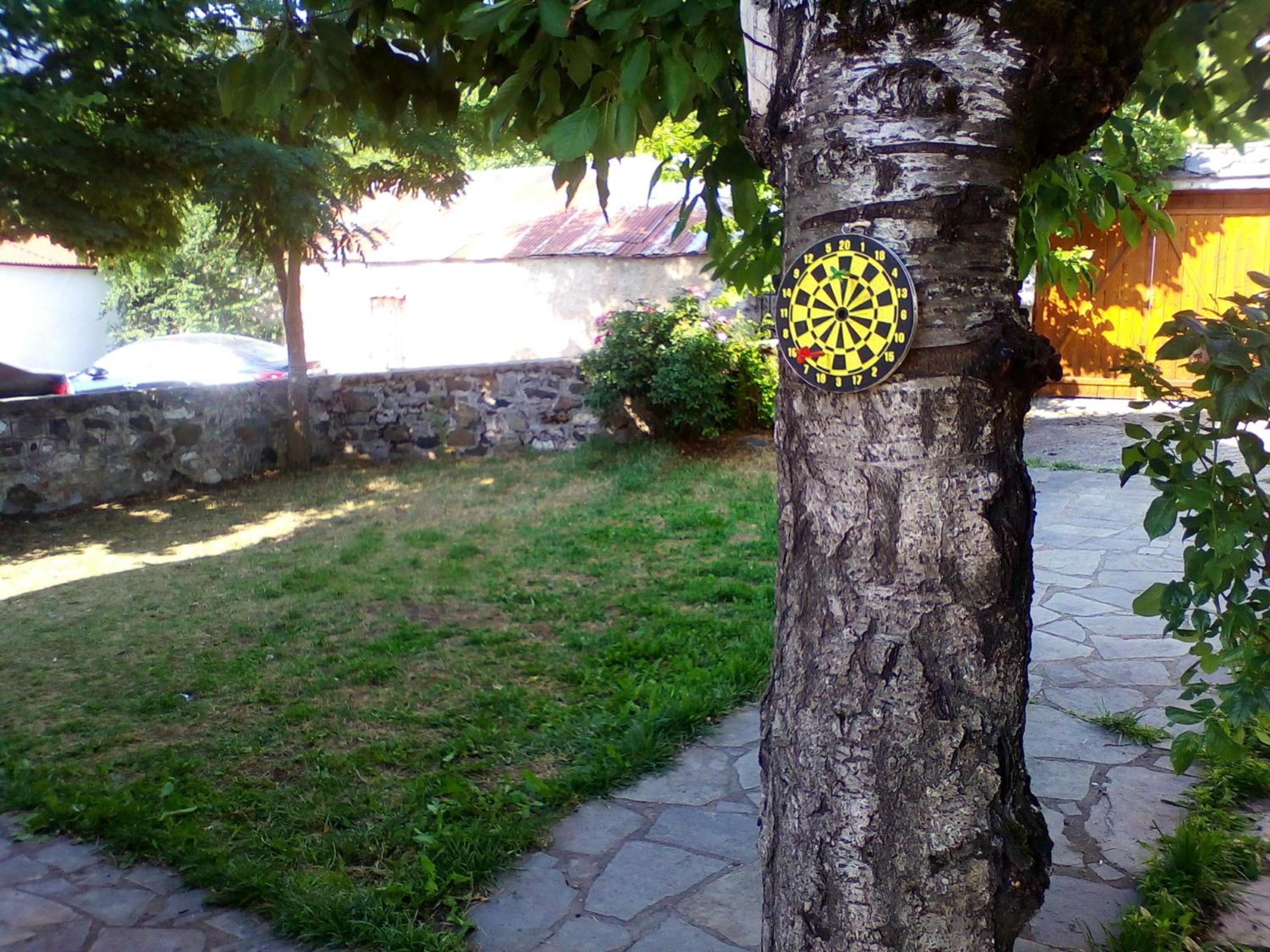 Ginî Viñis