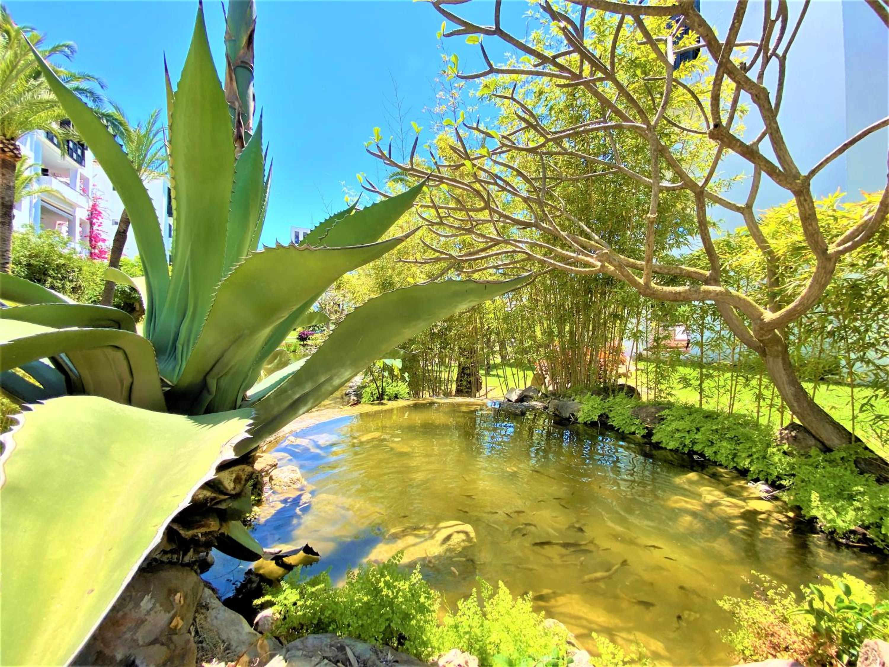 Ideal apartment in Marbella, Near Nikki Beach