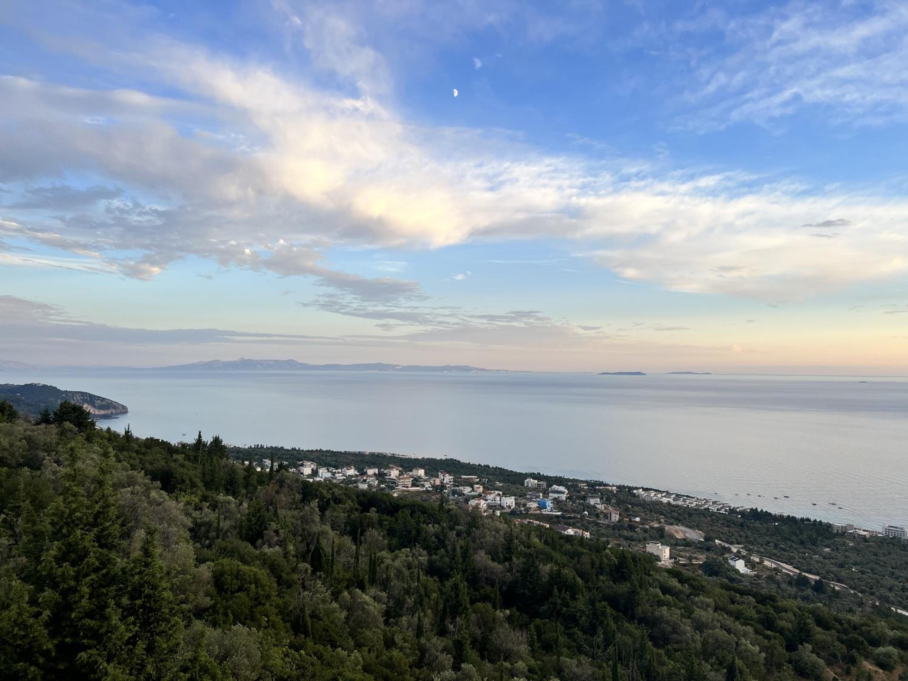 Palasa View