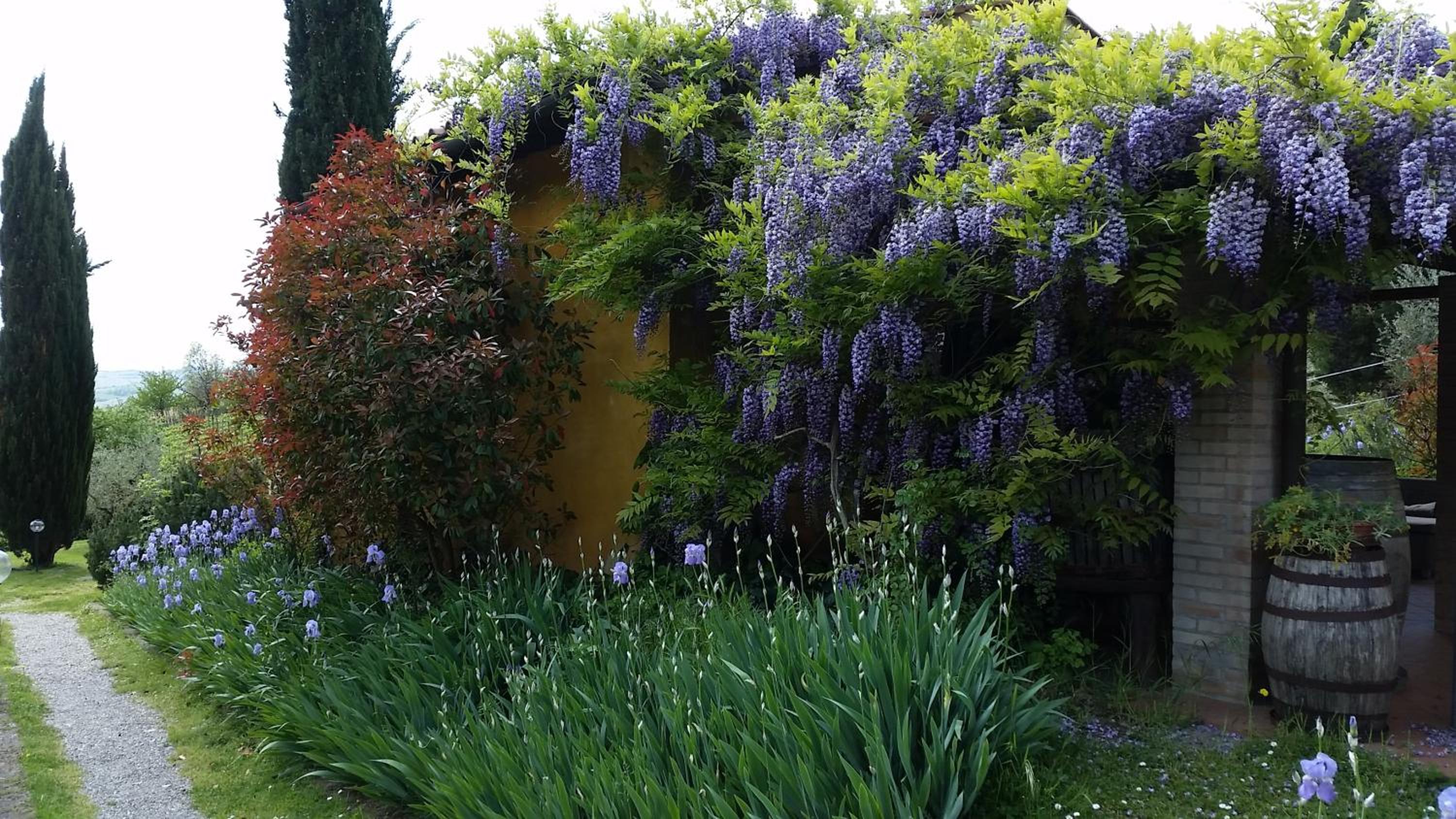 Photo 33
