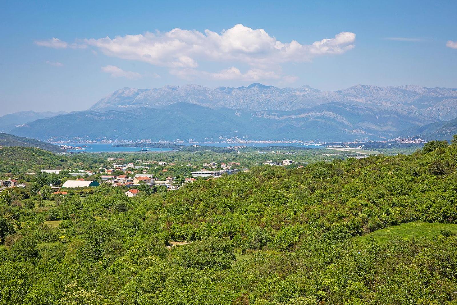 APARTMAN OAZA view 5