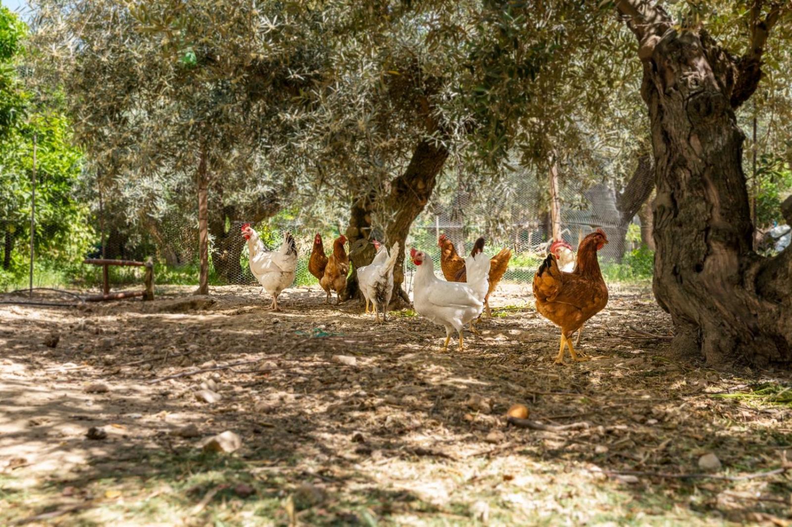 El Cortijo de Granada