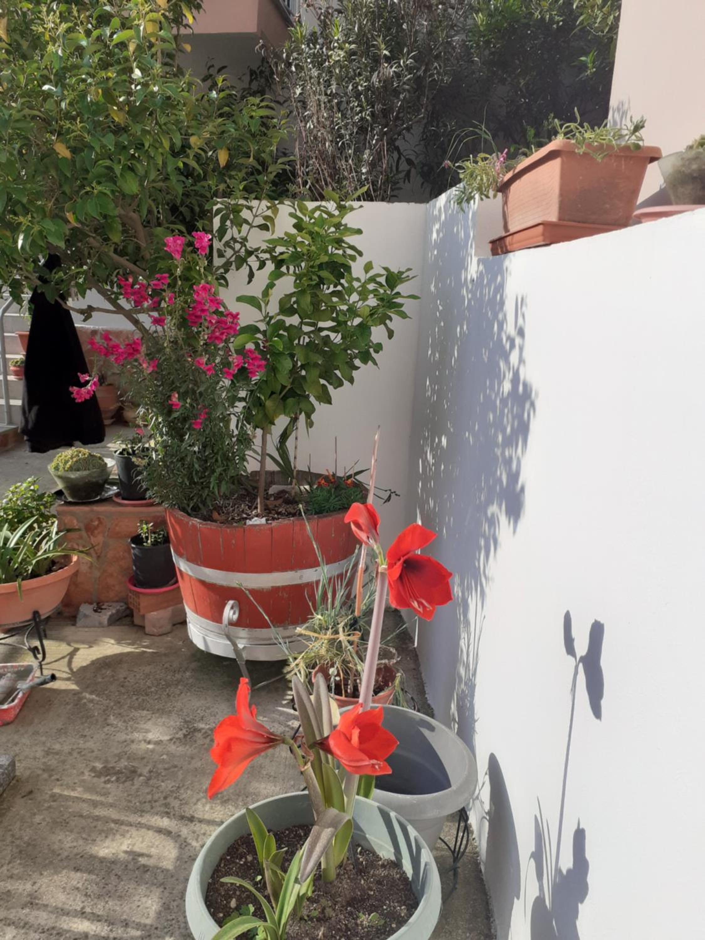 Vagelis 2 Nemea apartments