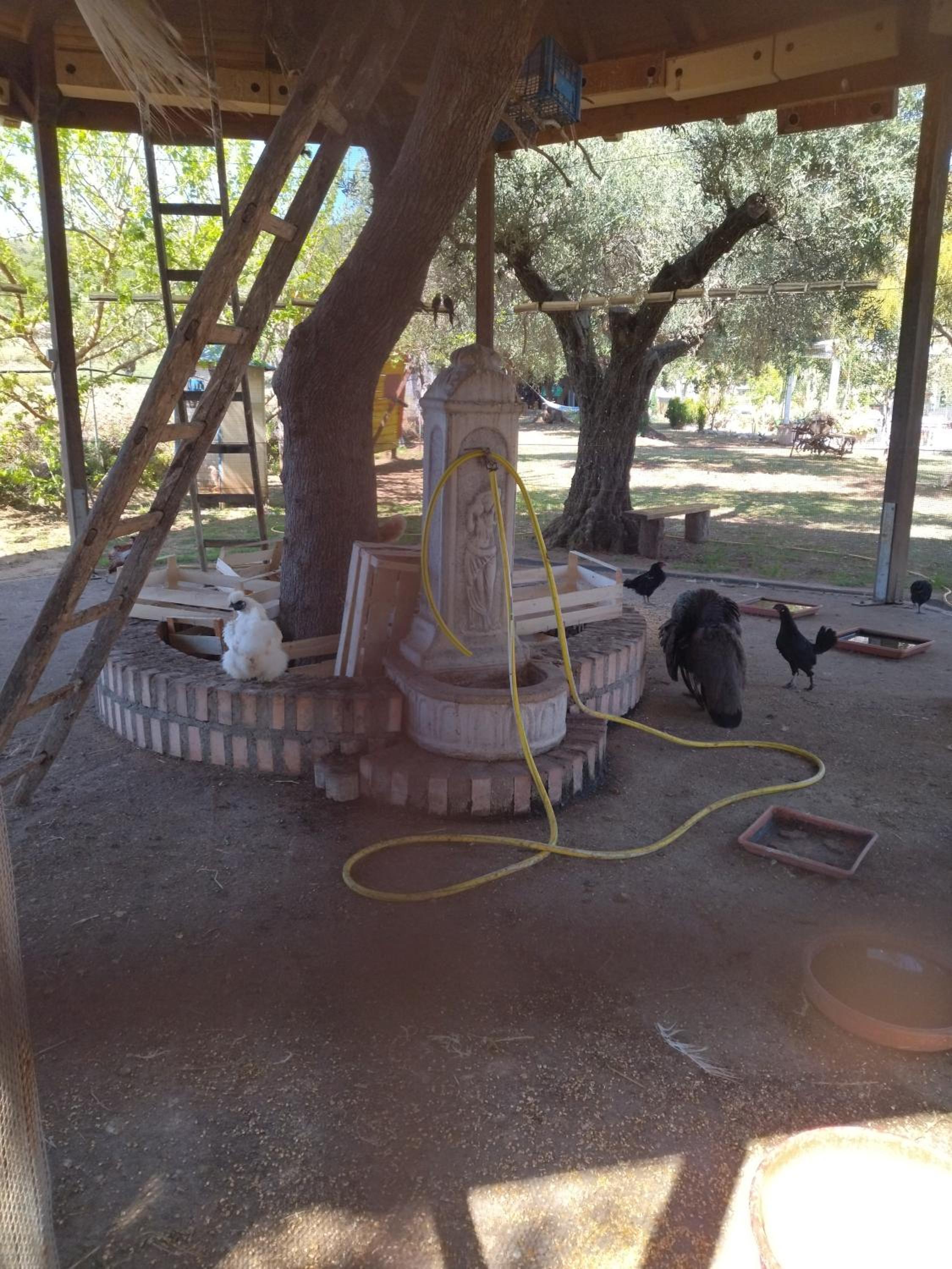 agriturismo heaven trilocale 2 photo 3