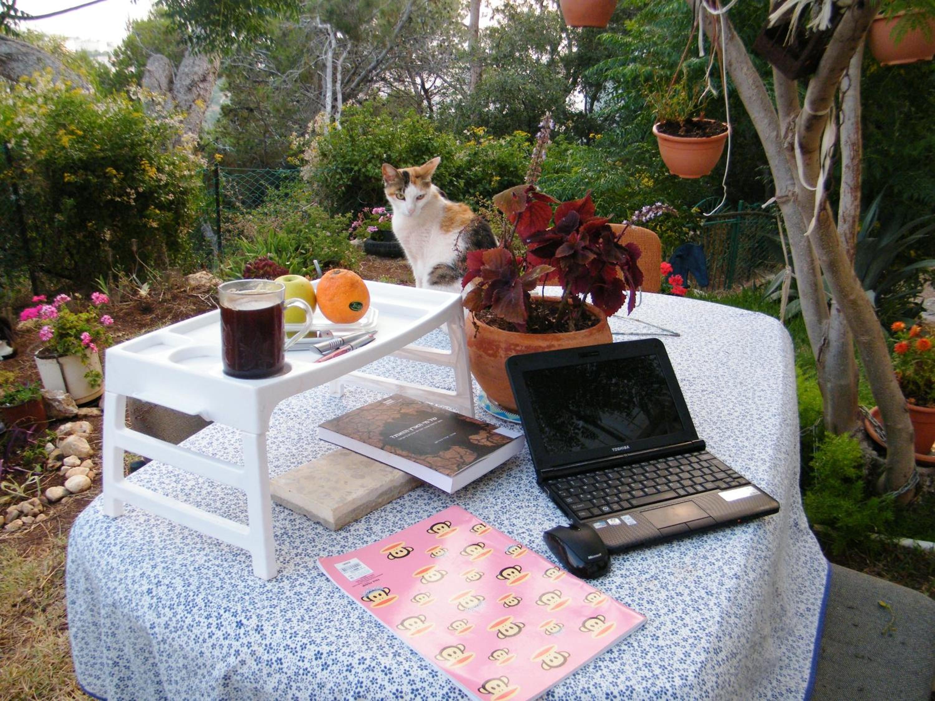 Photo 22