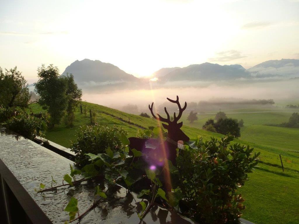 AlpenLodge Allgäu 5*