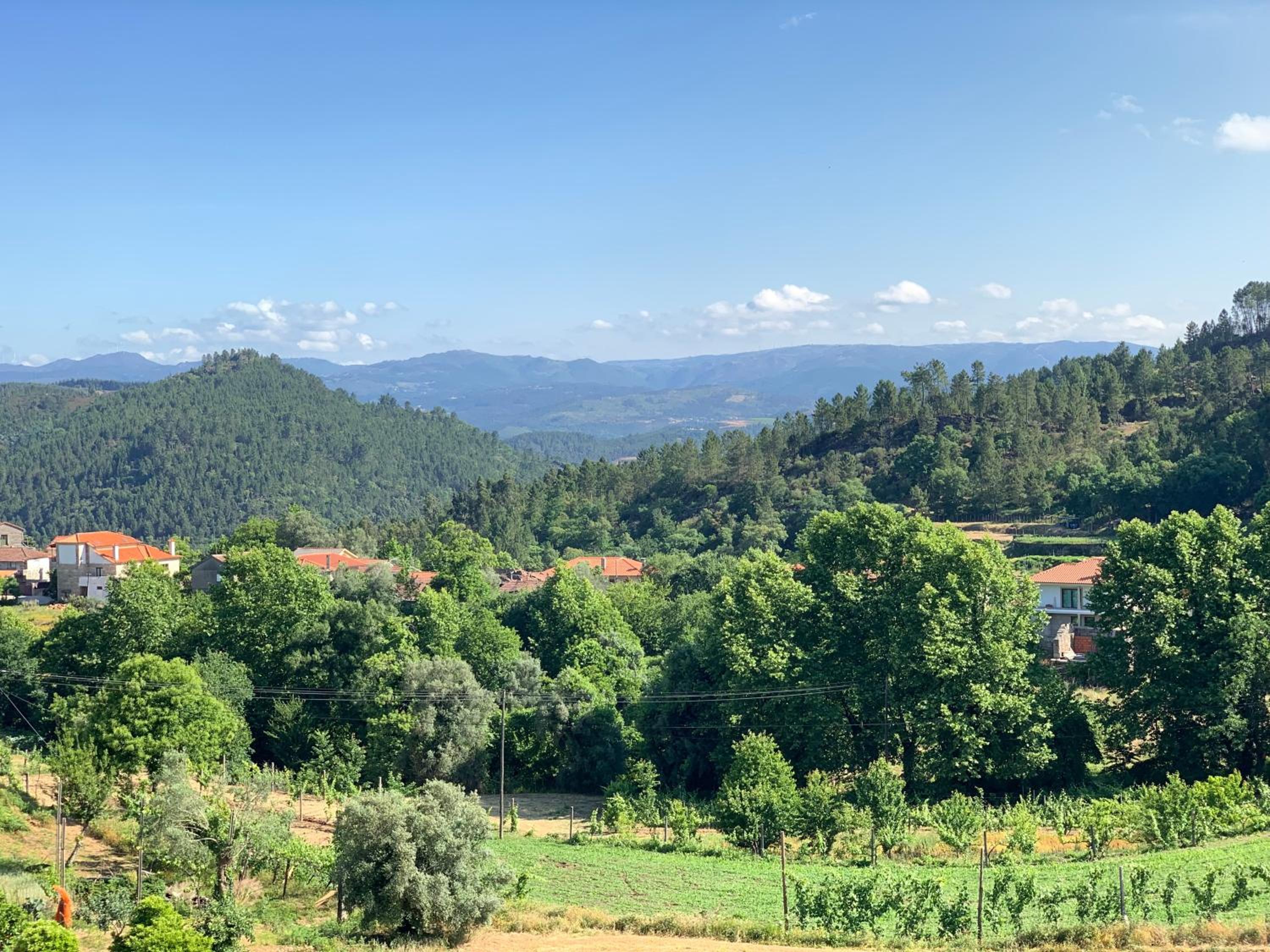 Casa Pedravedra