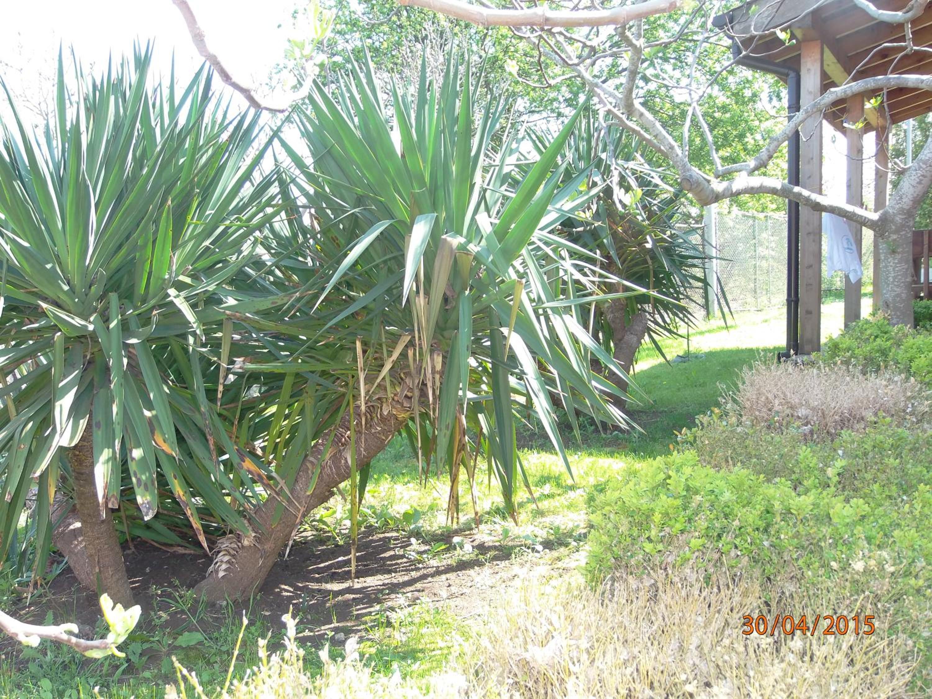 Photo 41
