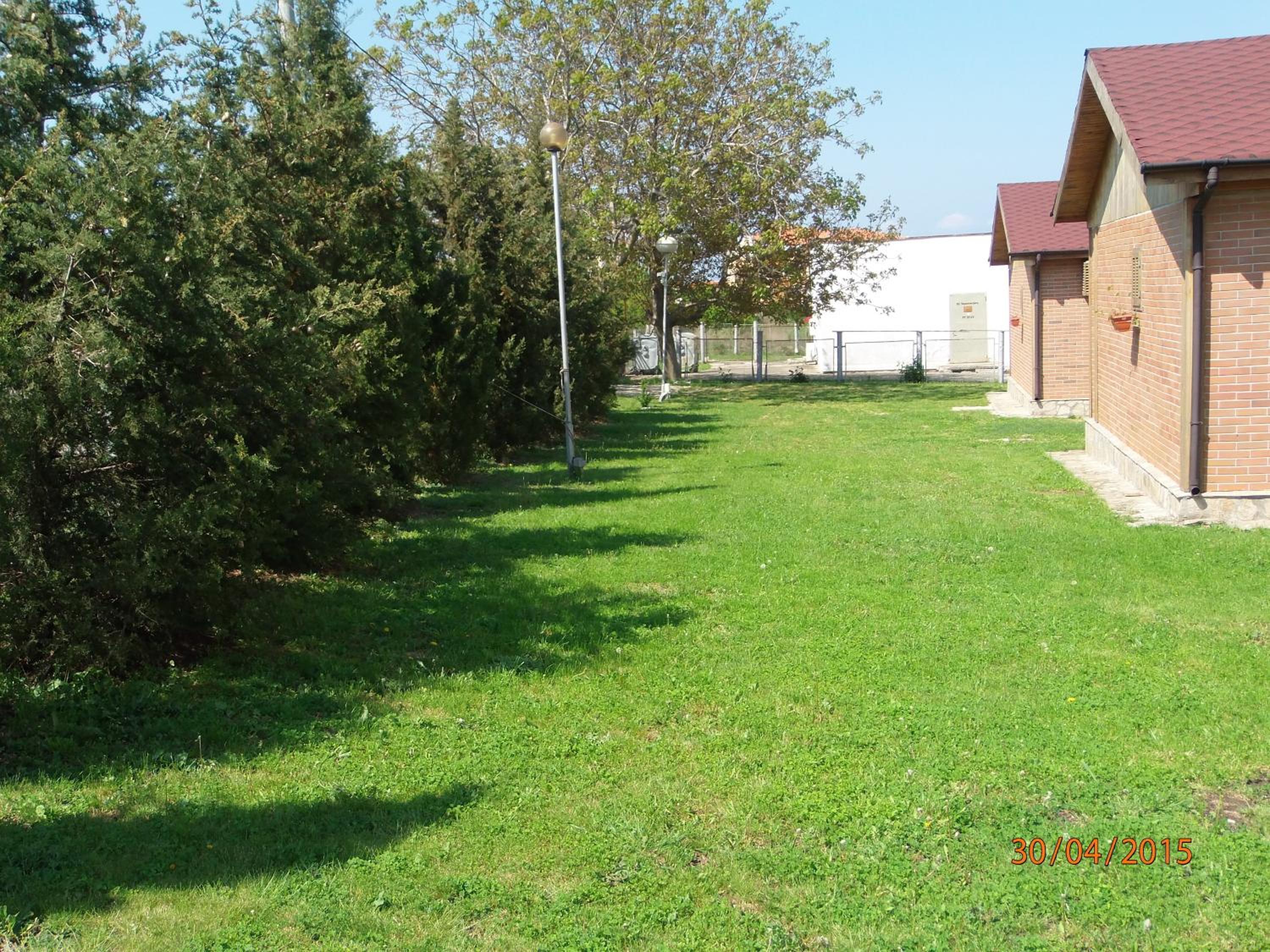 Photo 12