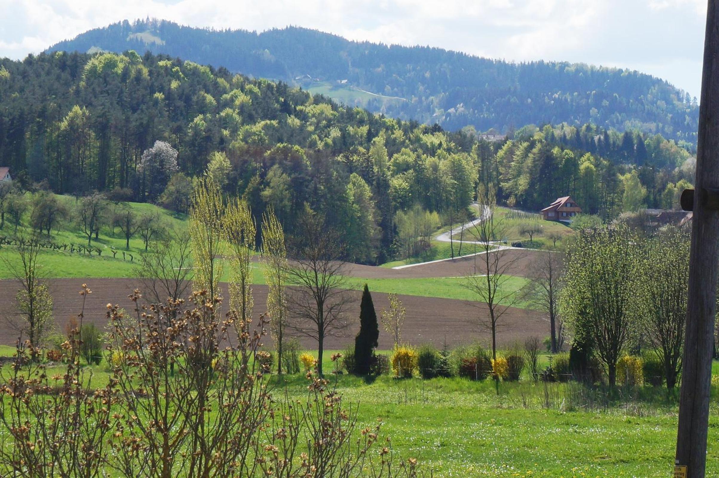 Pension Wolkenreich