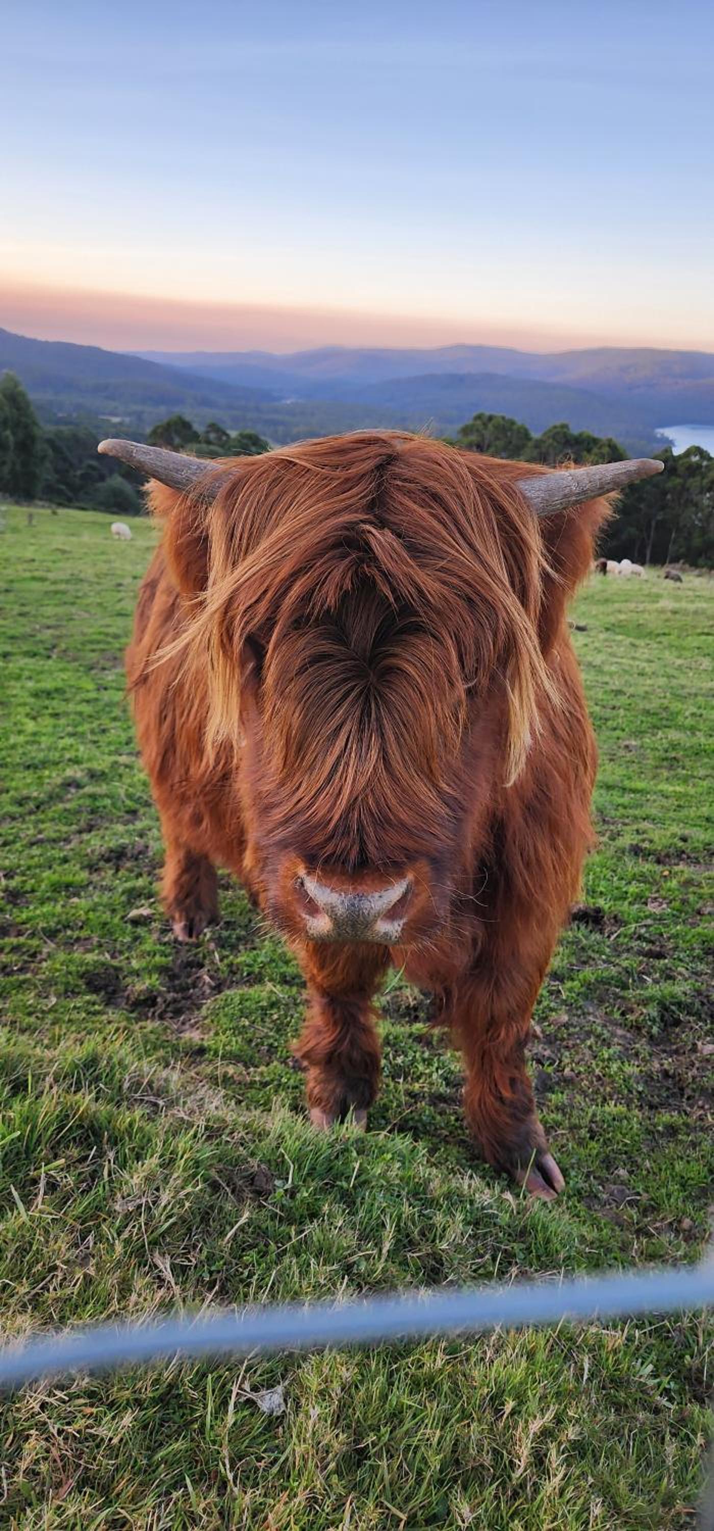 Ruby's Cottage Farm Stay