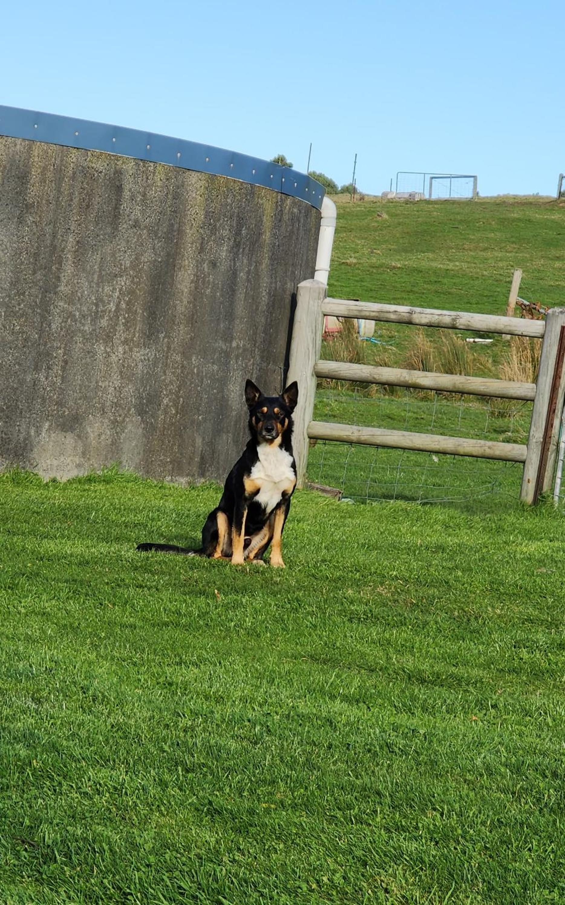 Ruby's Cottage Farm Stay
