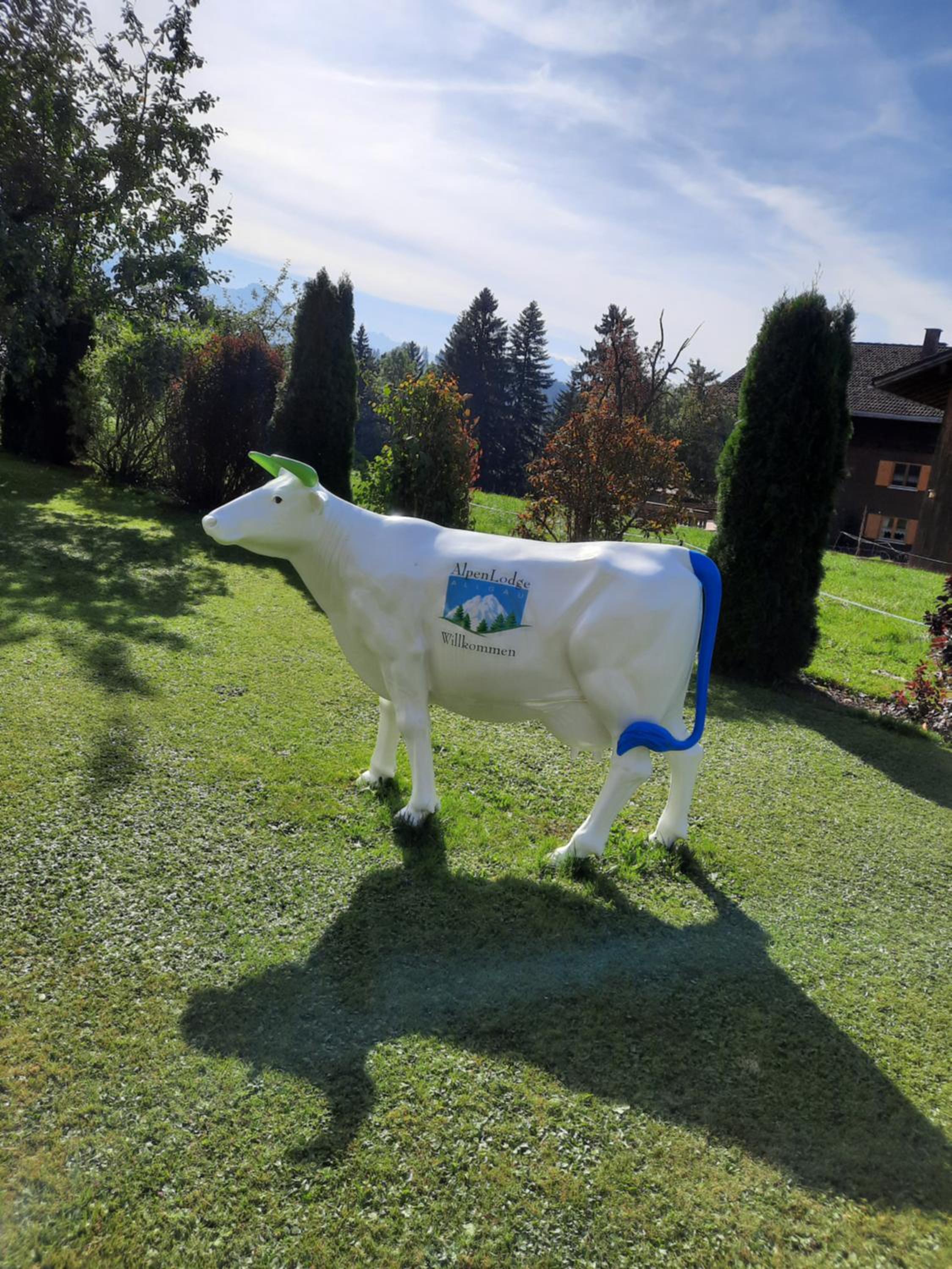 AlpenLodge Allgäu 5*