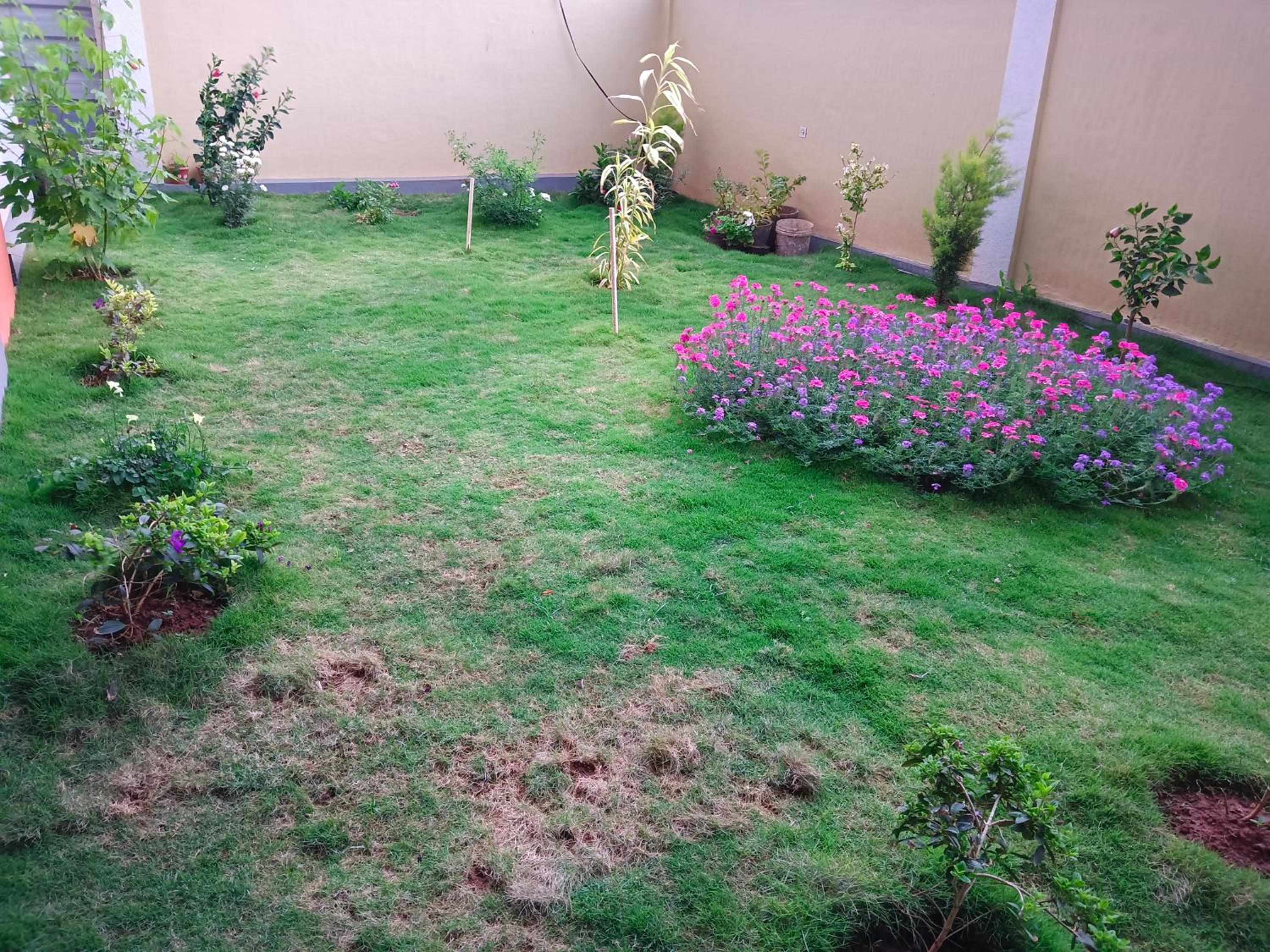 Nidagodu Homestay