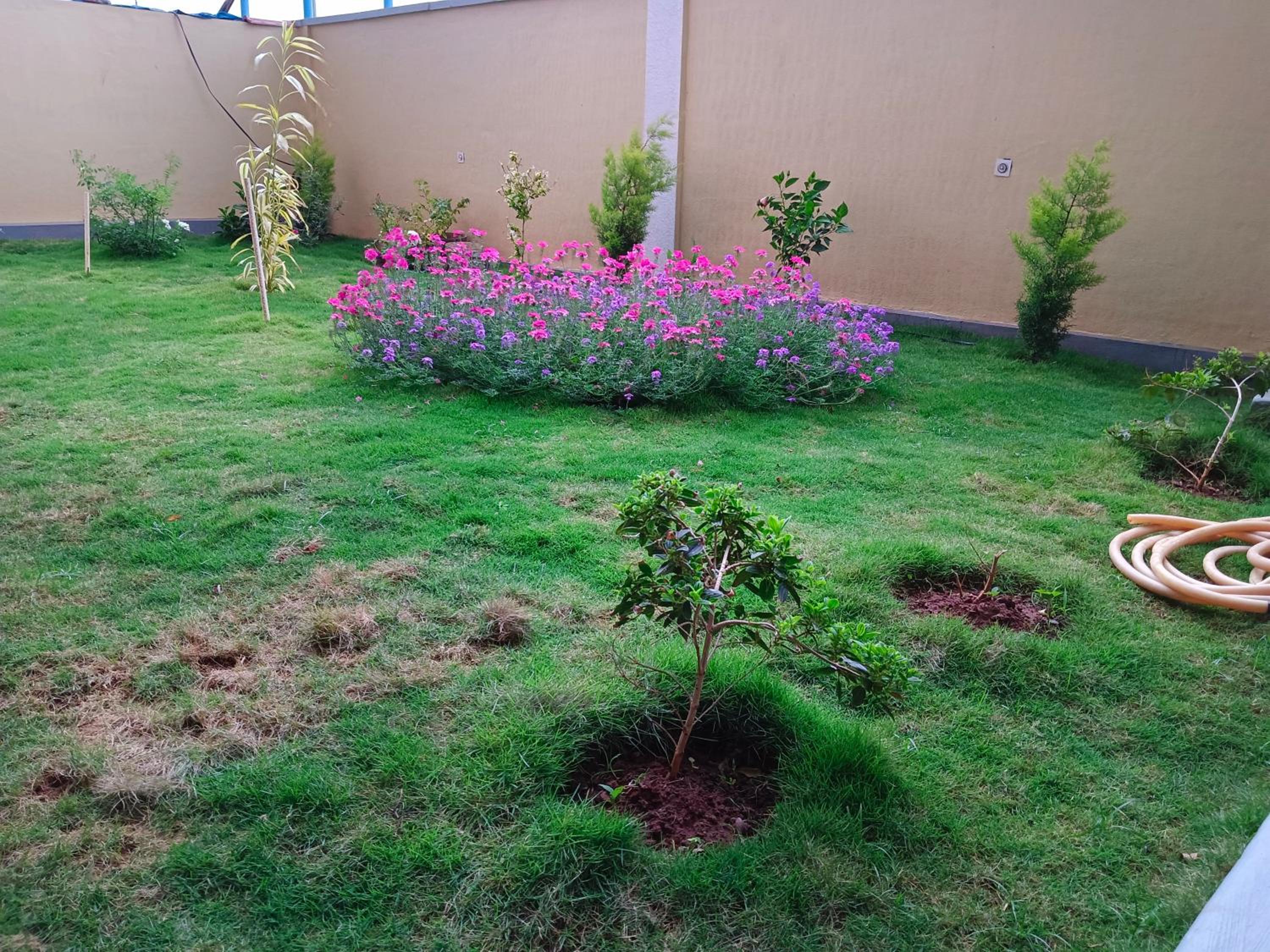 Nidagodu Homestay