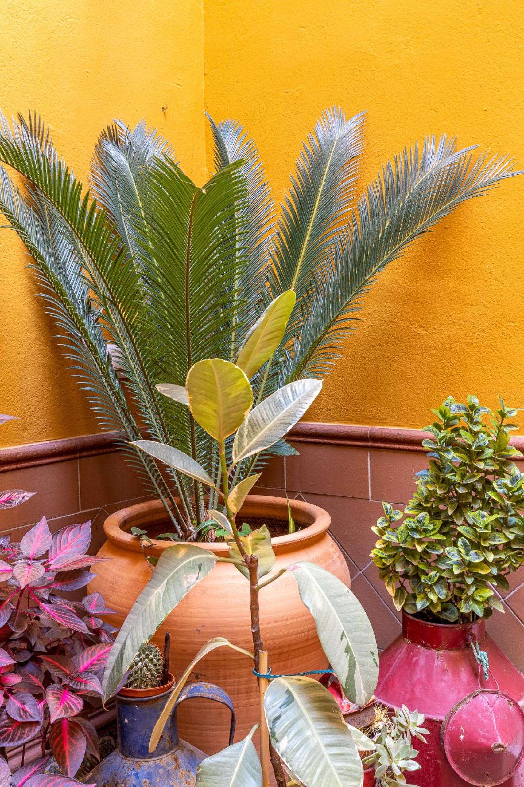 Photo 25