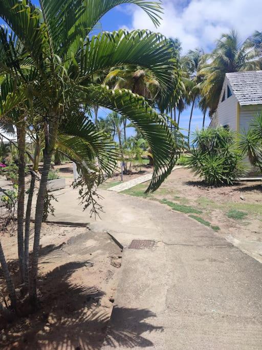 Maison sur la plage