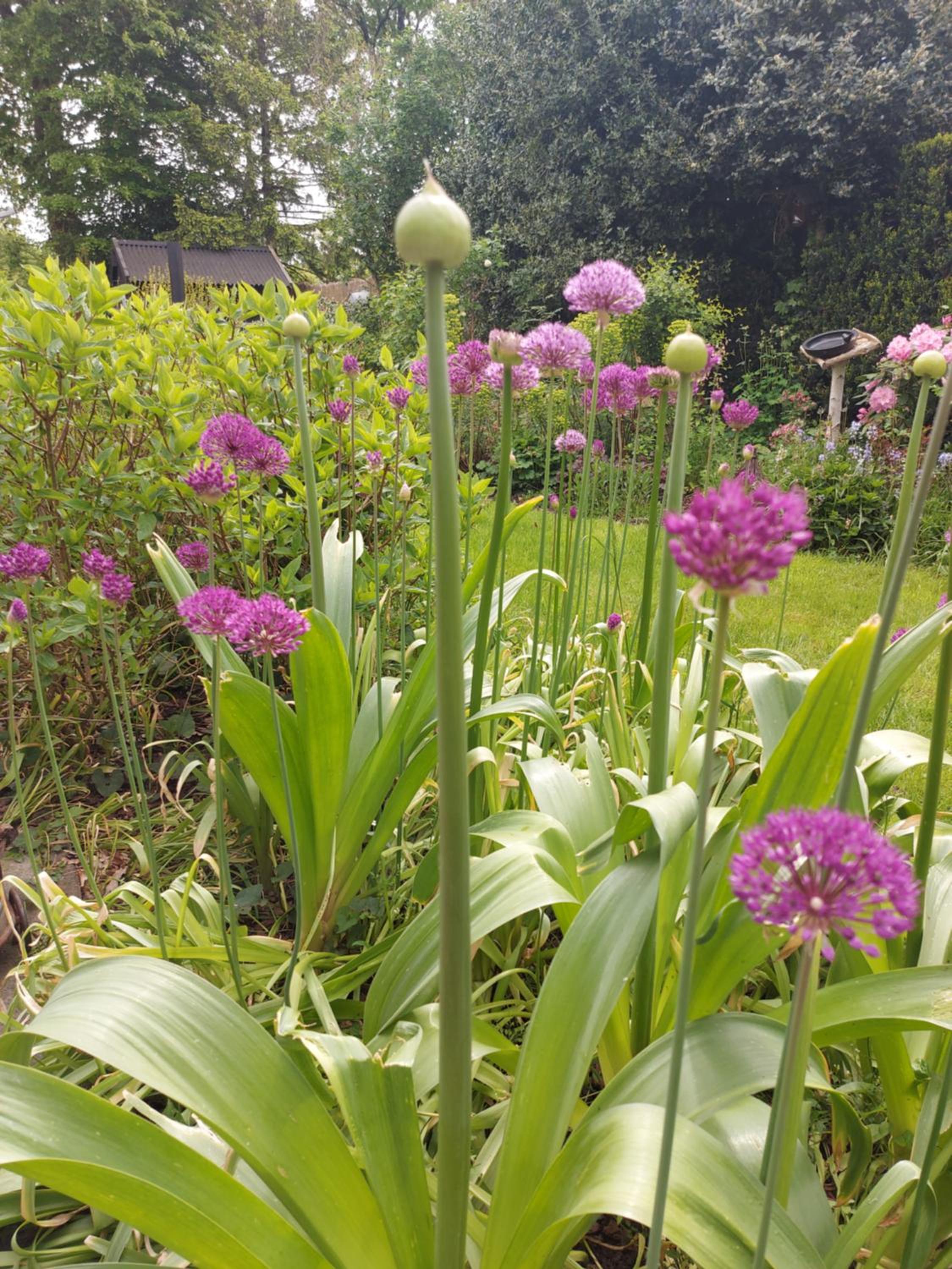 other