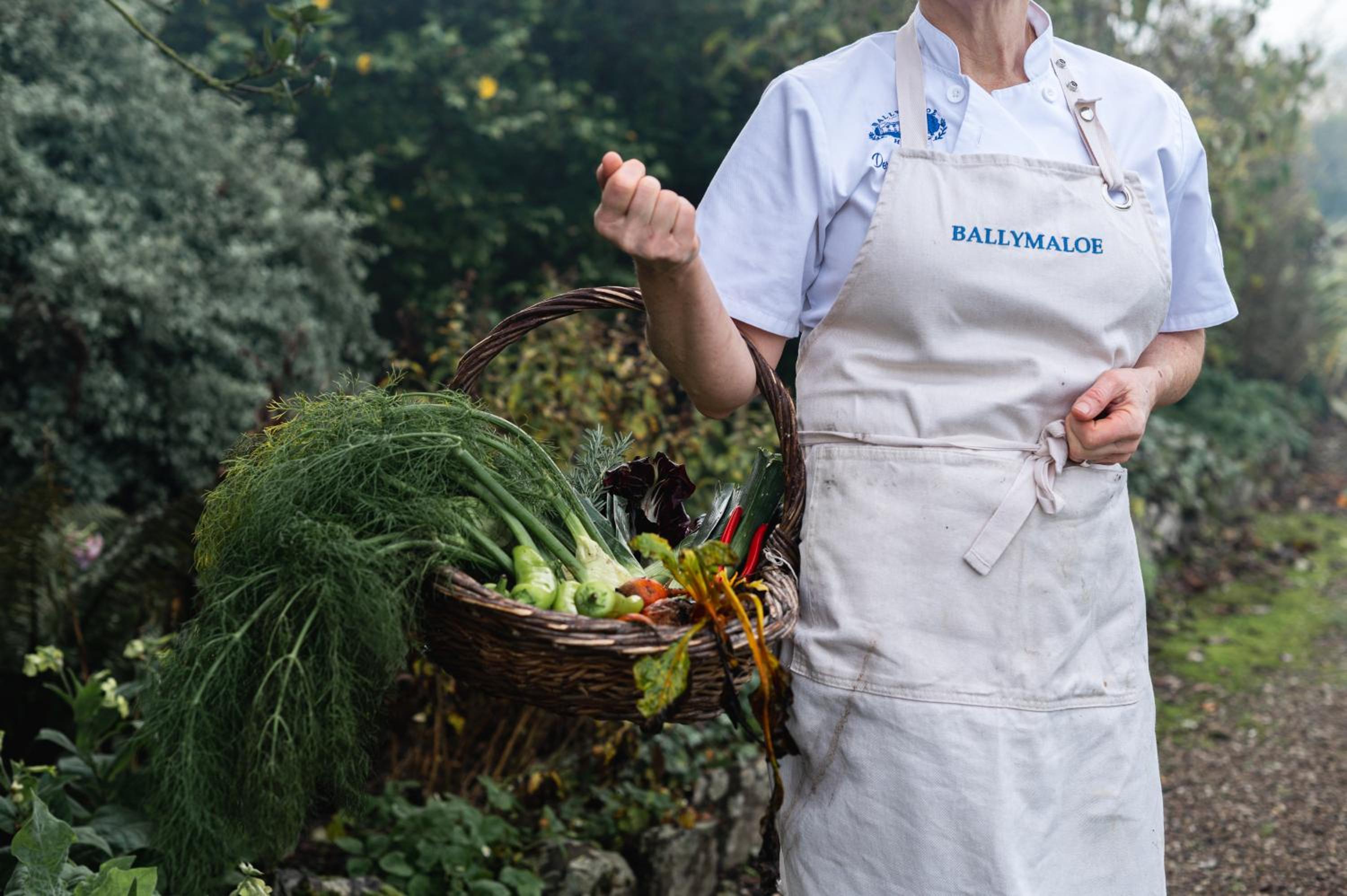 Ballymaloe House Hotel